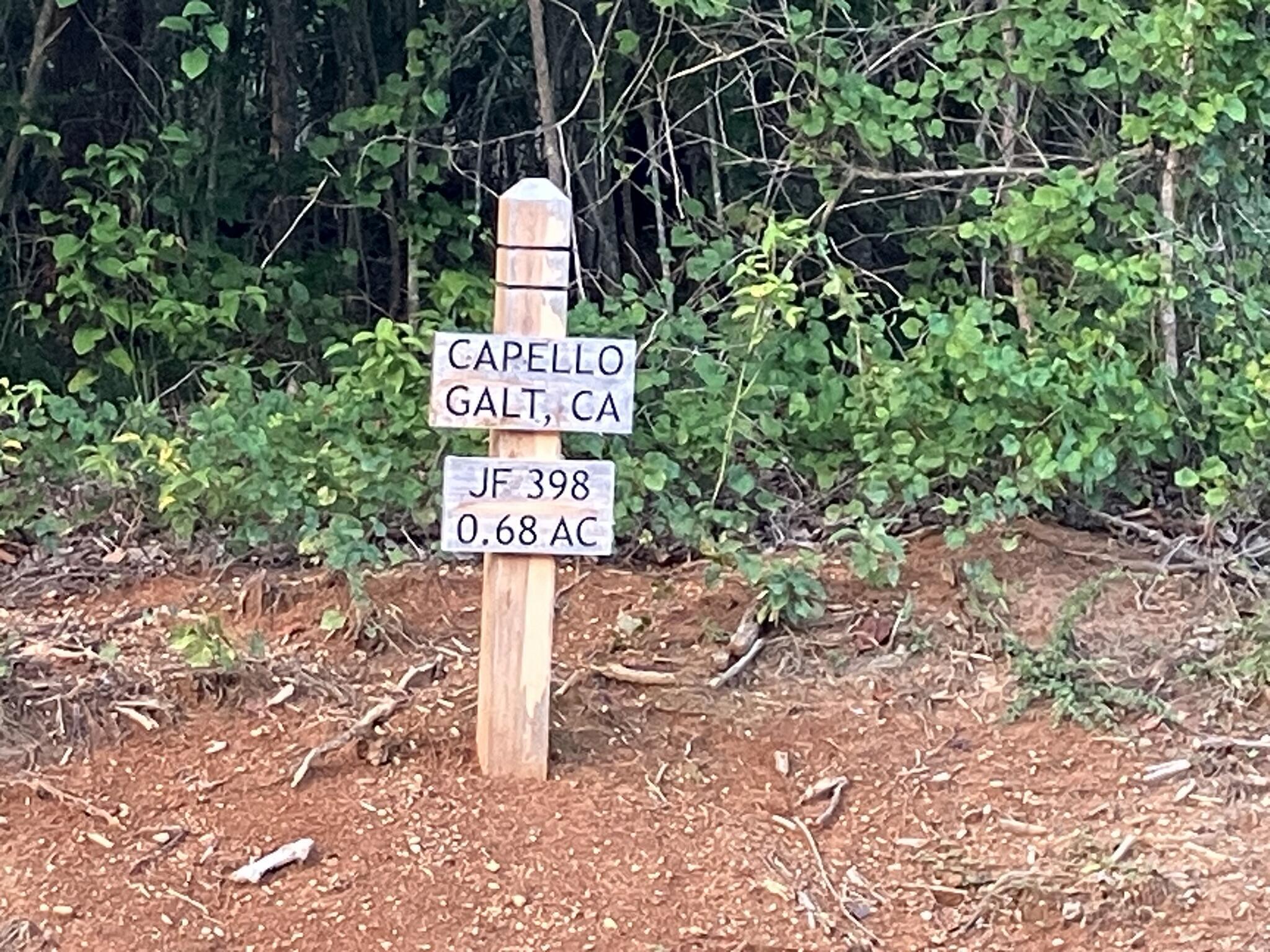 Wooded 0.68-acre lot marked by a post sign reading JF 398.