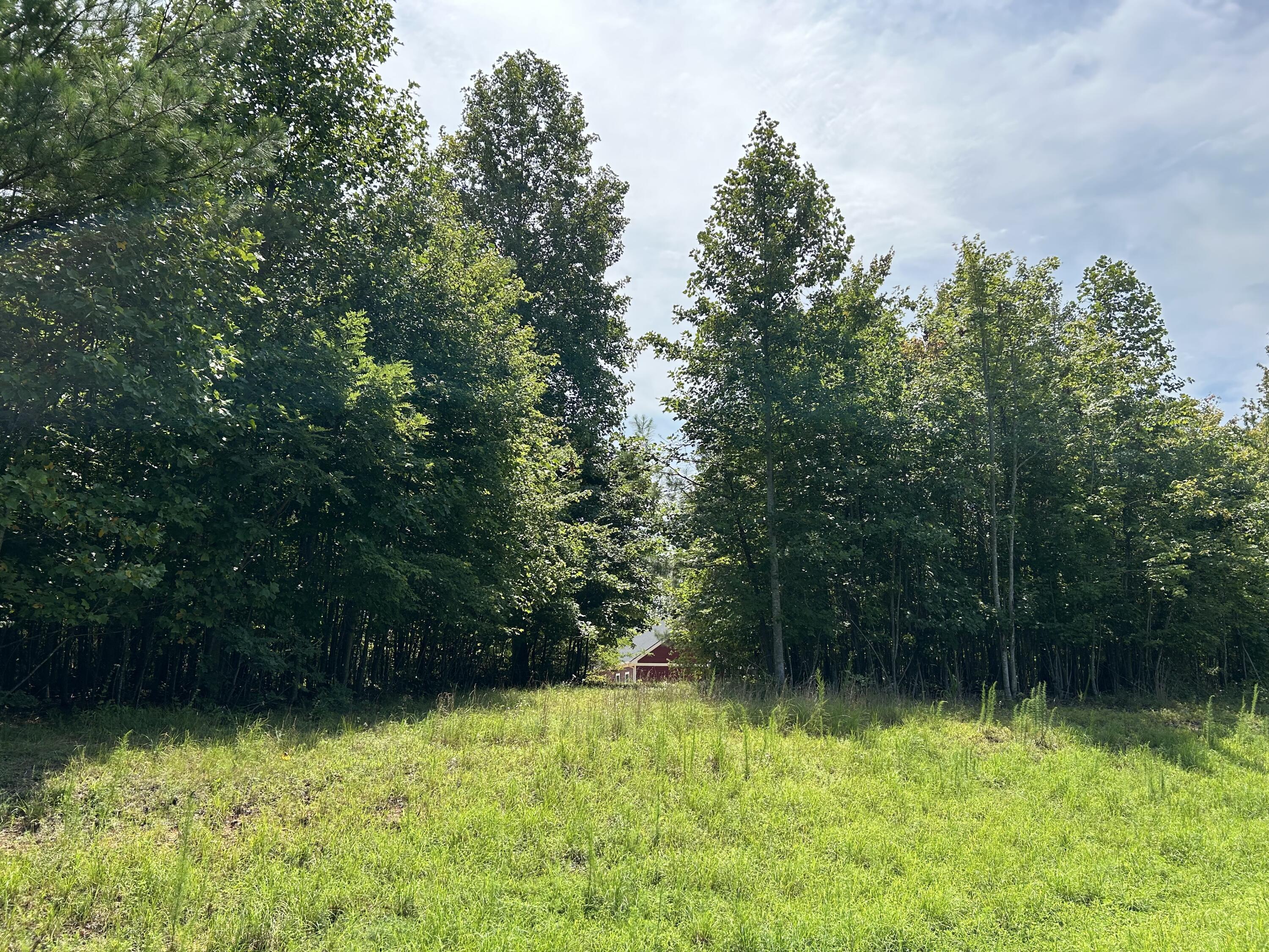 Grassy clearing bordered by dense trees, with a small red building in the distance.