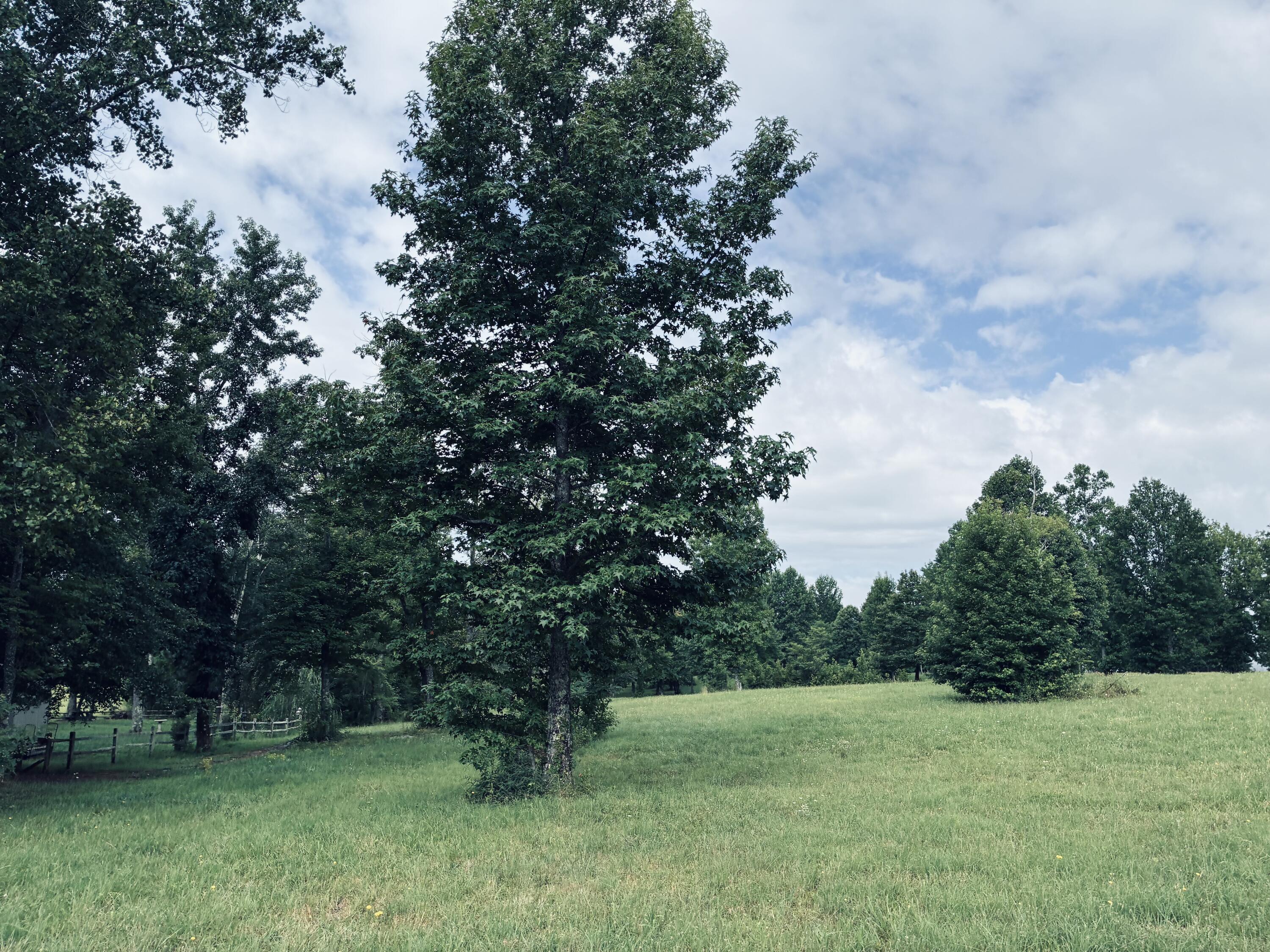 205 Raulston Falls Road, Rb-159
