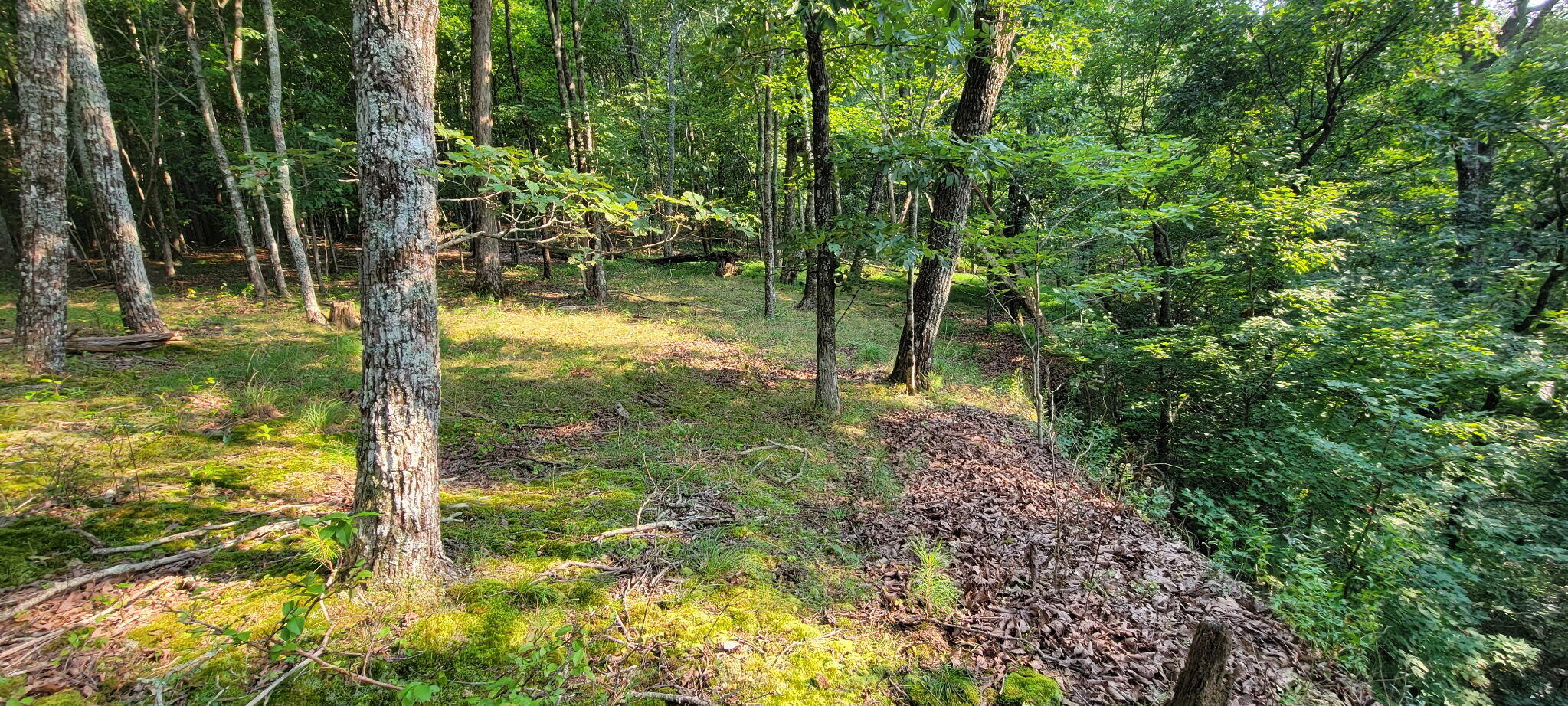 0 Preservation Drive, Lot 6