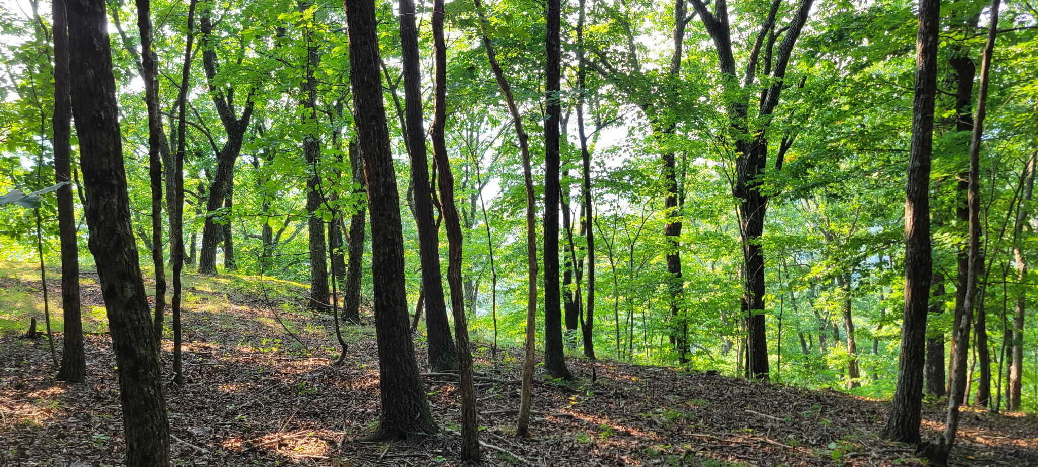 0 Preservation Drive, Lot 6