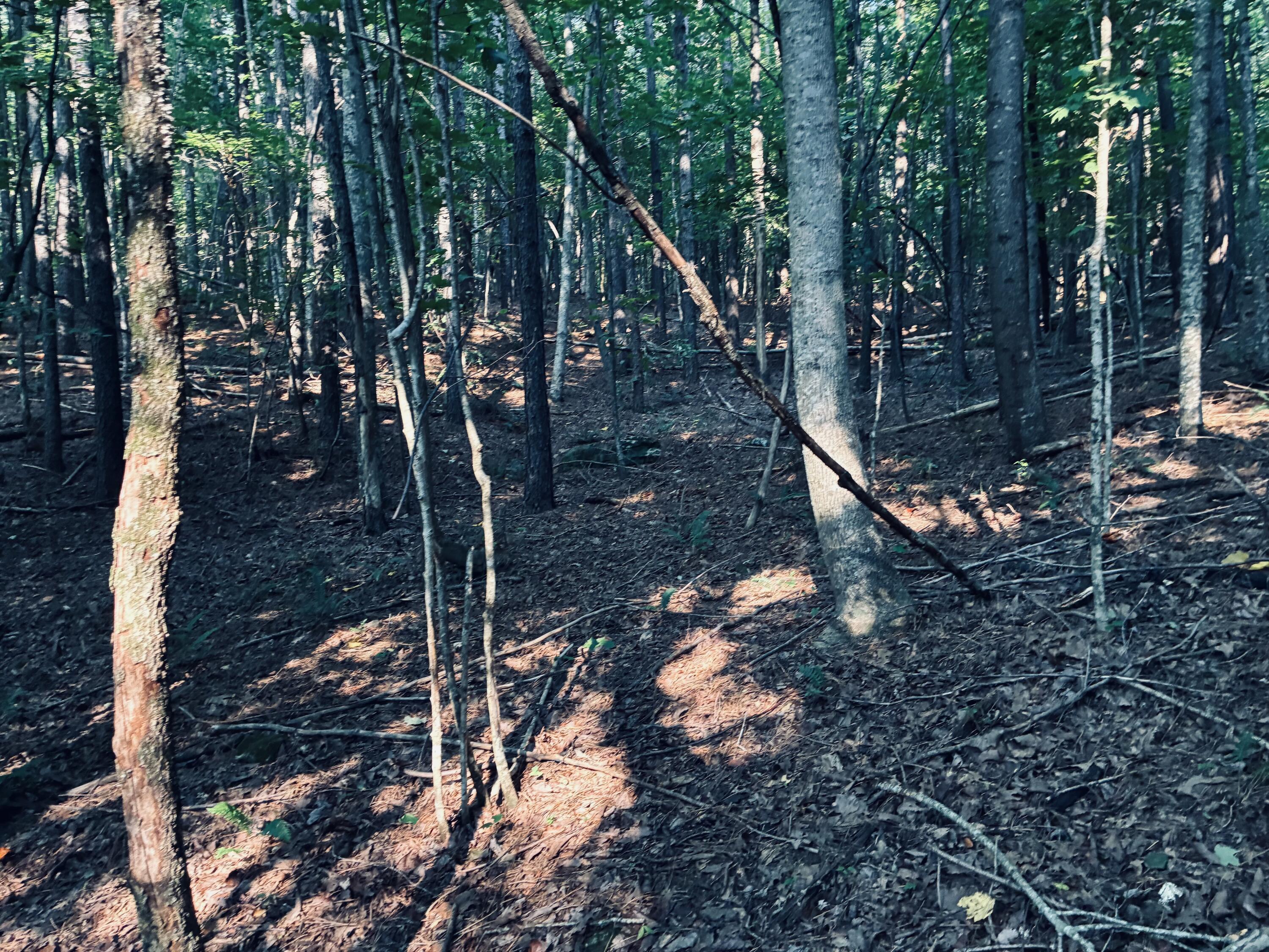 0 Preservation Drive, Lot 6