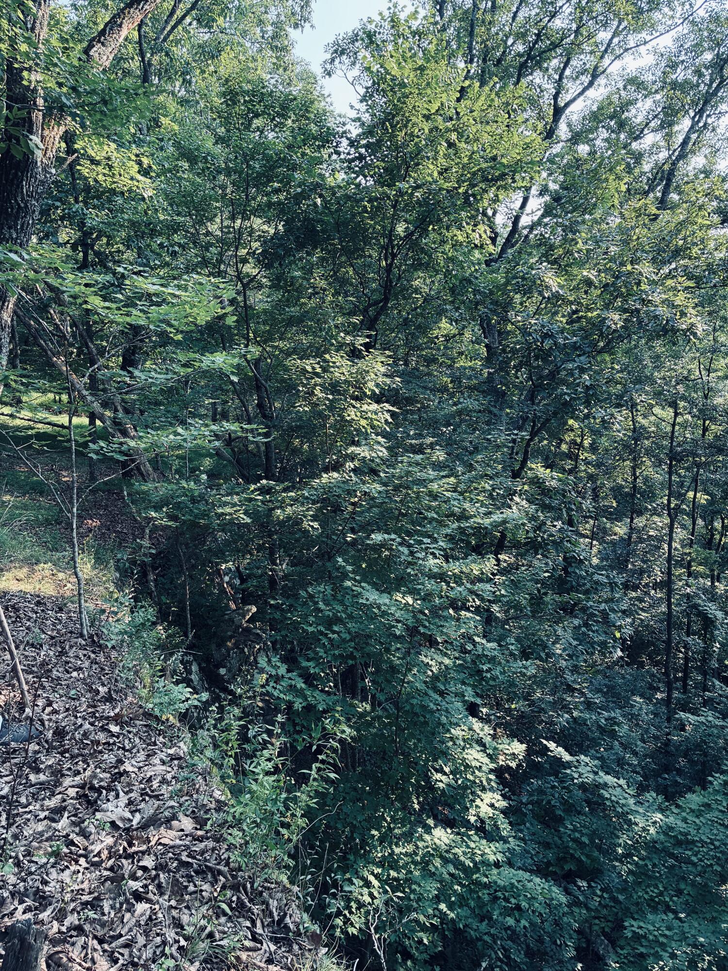 0 Preservation Drive, Lot 6