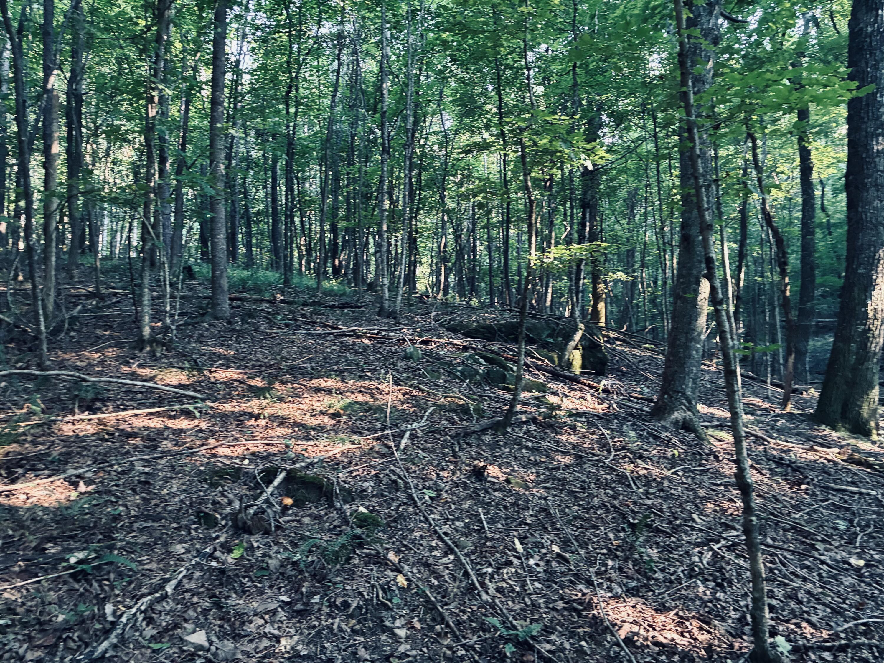 0 Preservation Drive, Lot 6