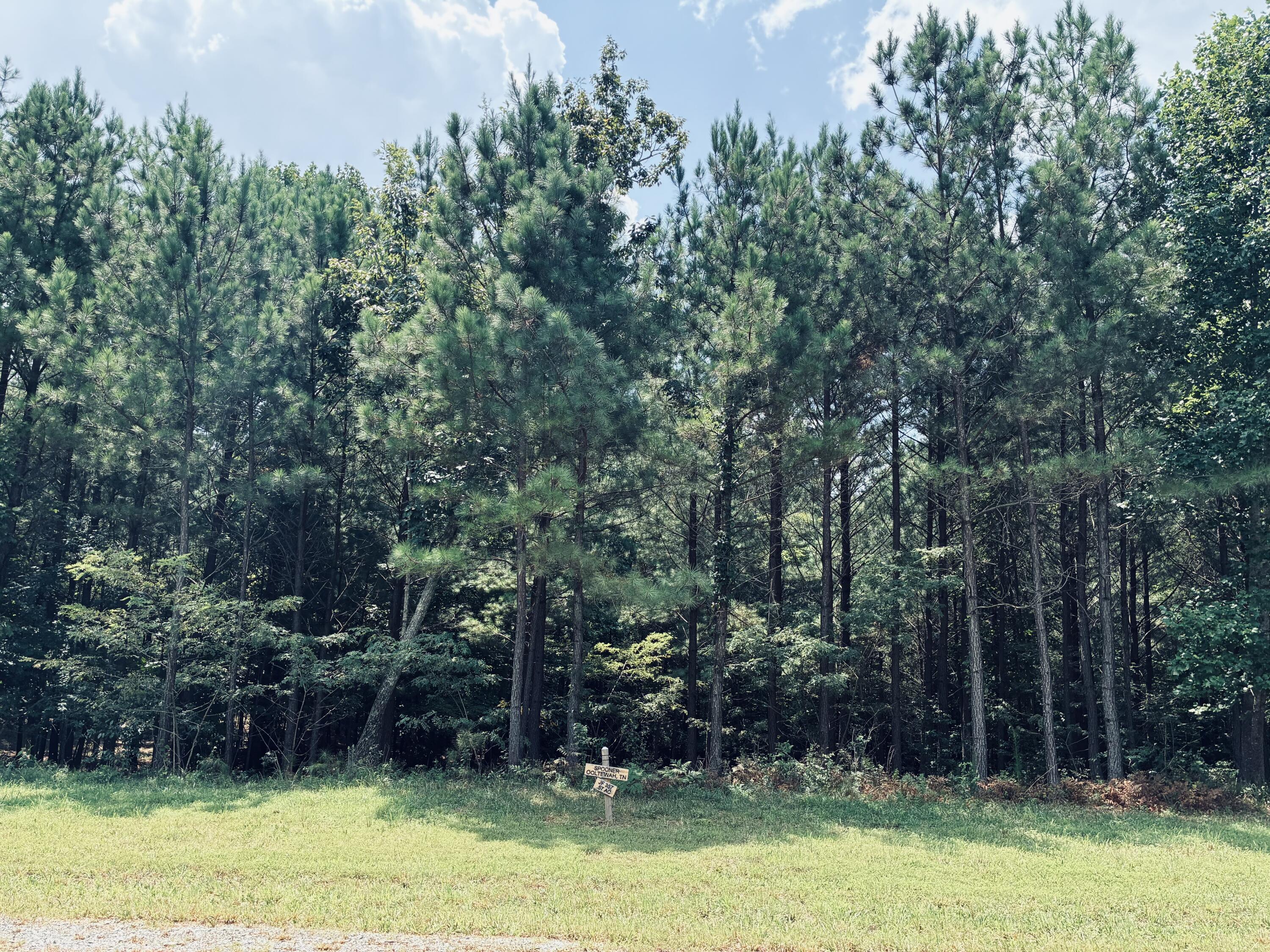 Grassy lot bordered by dense woods, with a small real estate sign near the tree line.