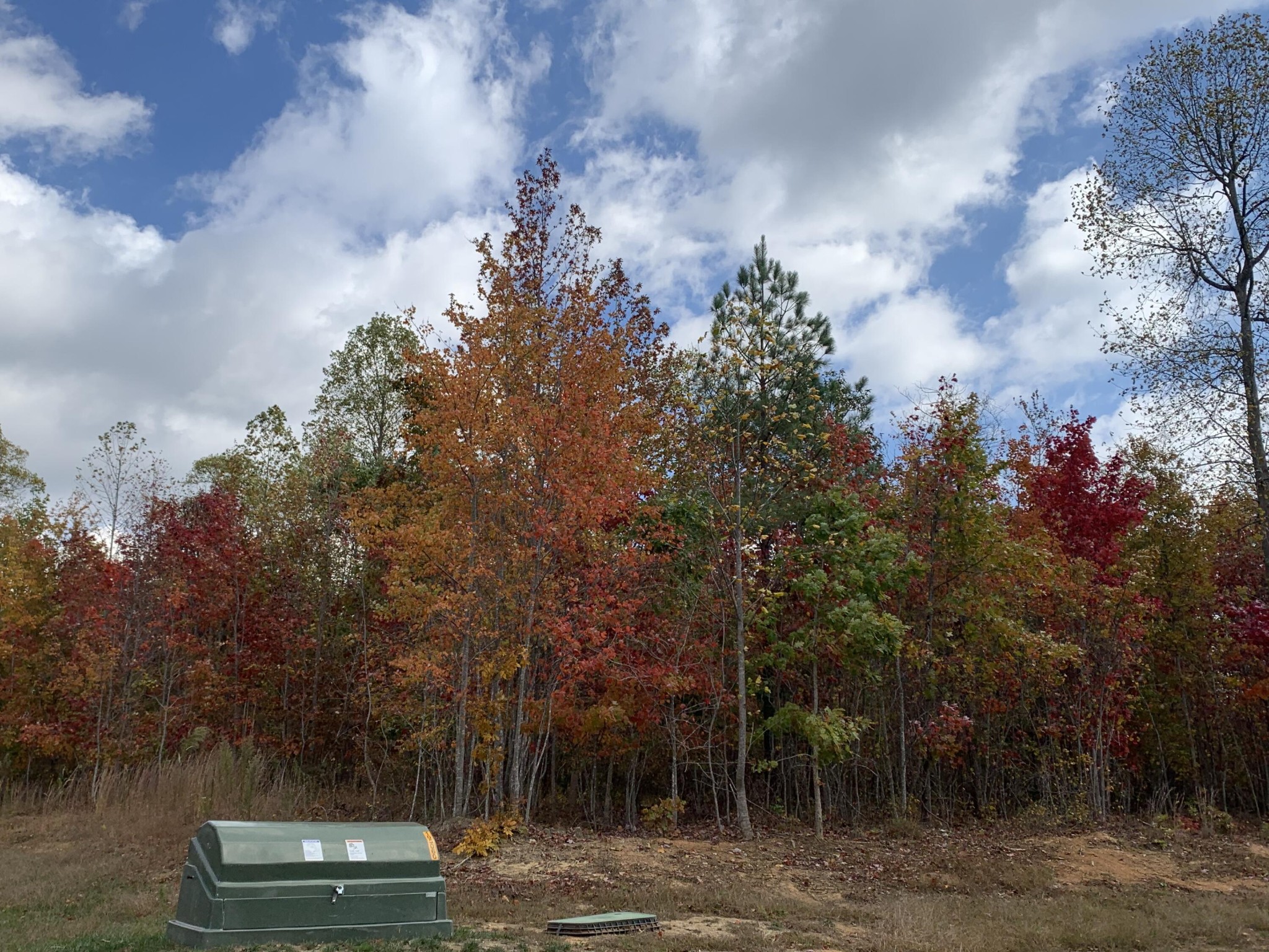 Wooded property lot with colorful autumn trees and a green utility box in the foreground.