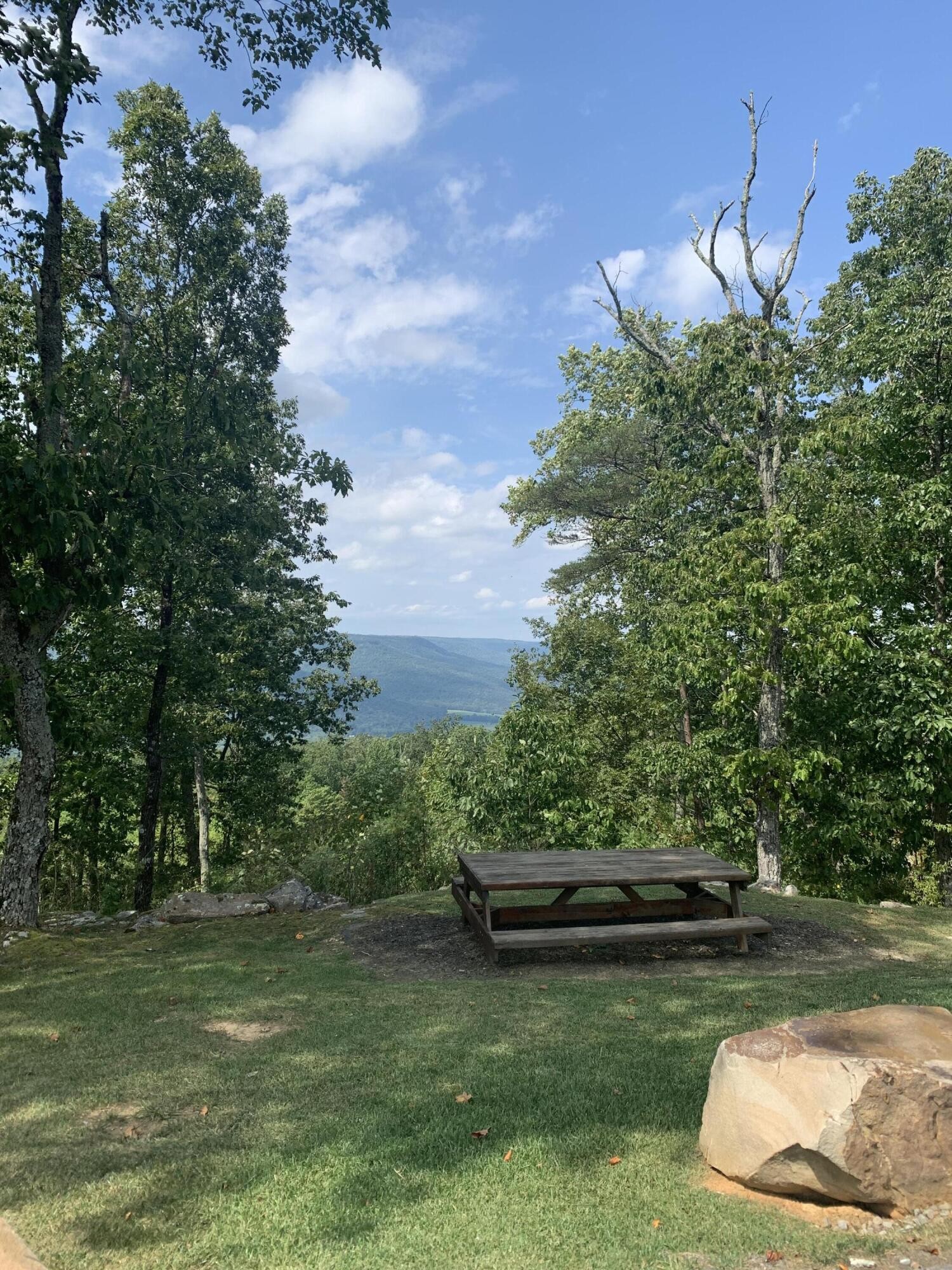 Grassy picnic area with a wooden table overlooks a mountain ridge through leafy trees.