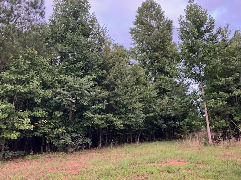Wooded property lot with a grassy clearing along the tree line.