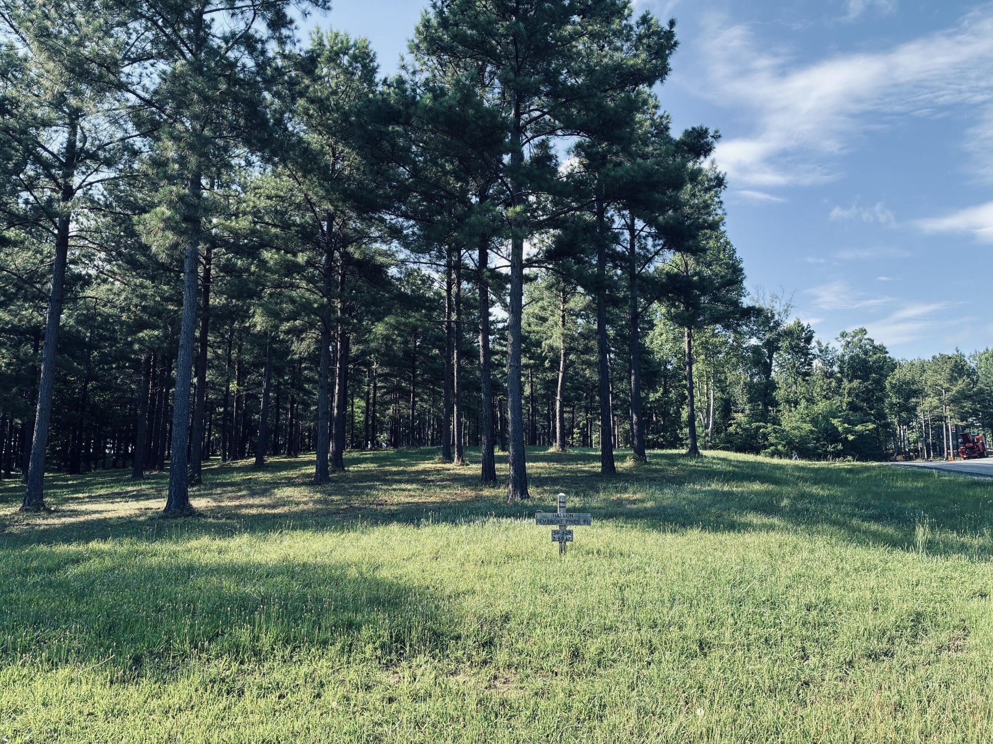 Grassy vacant lot with mature pine trees and a small roadside sign.
