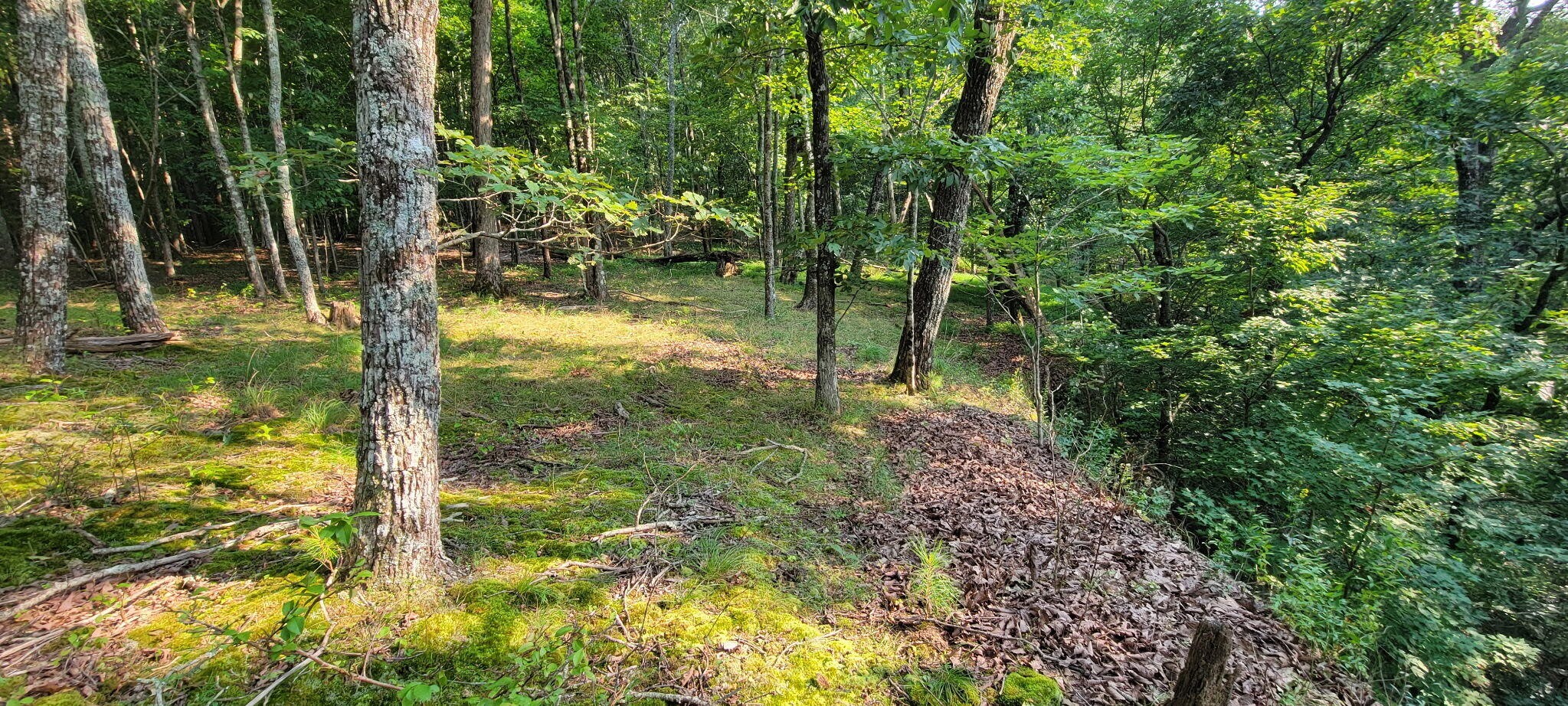 0 Preservation Drive, Lot 6