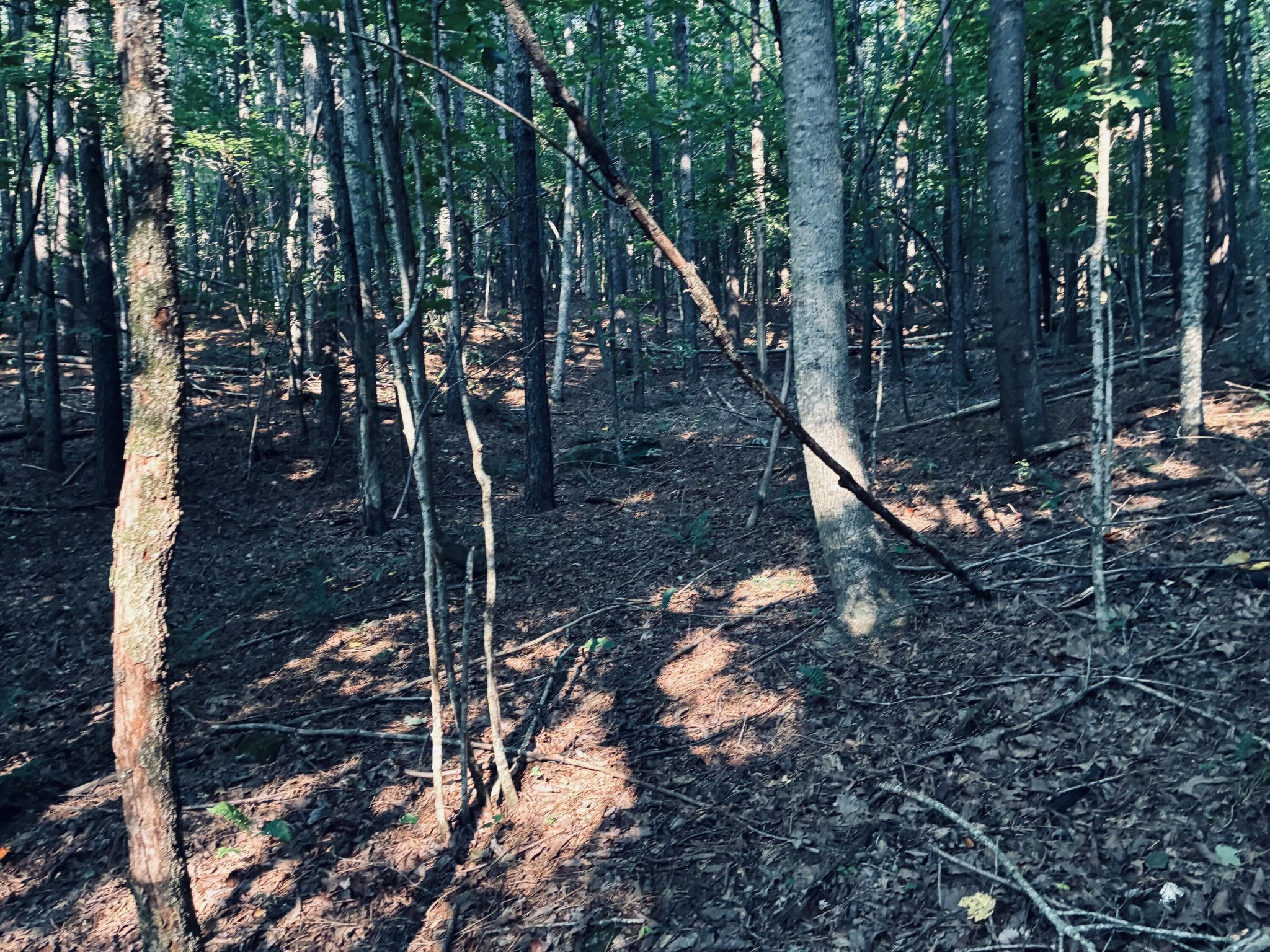 0 Preservation Drive, Lot 6