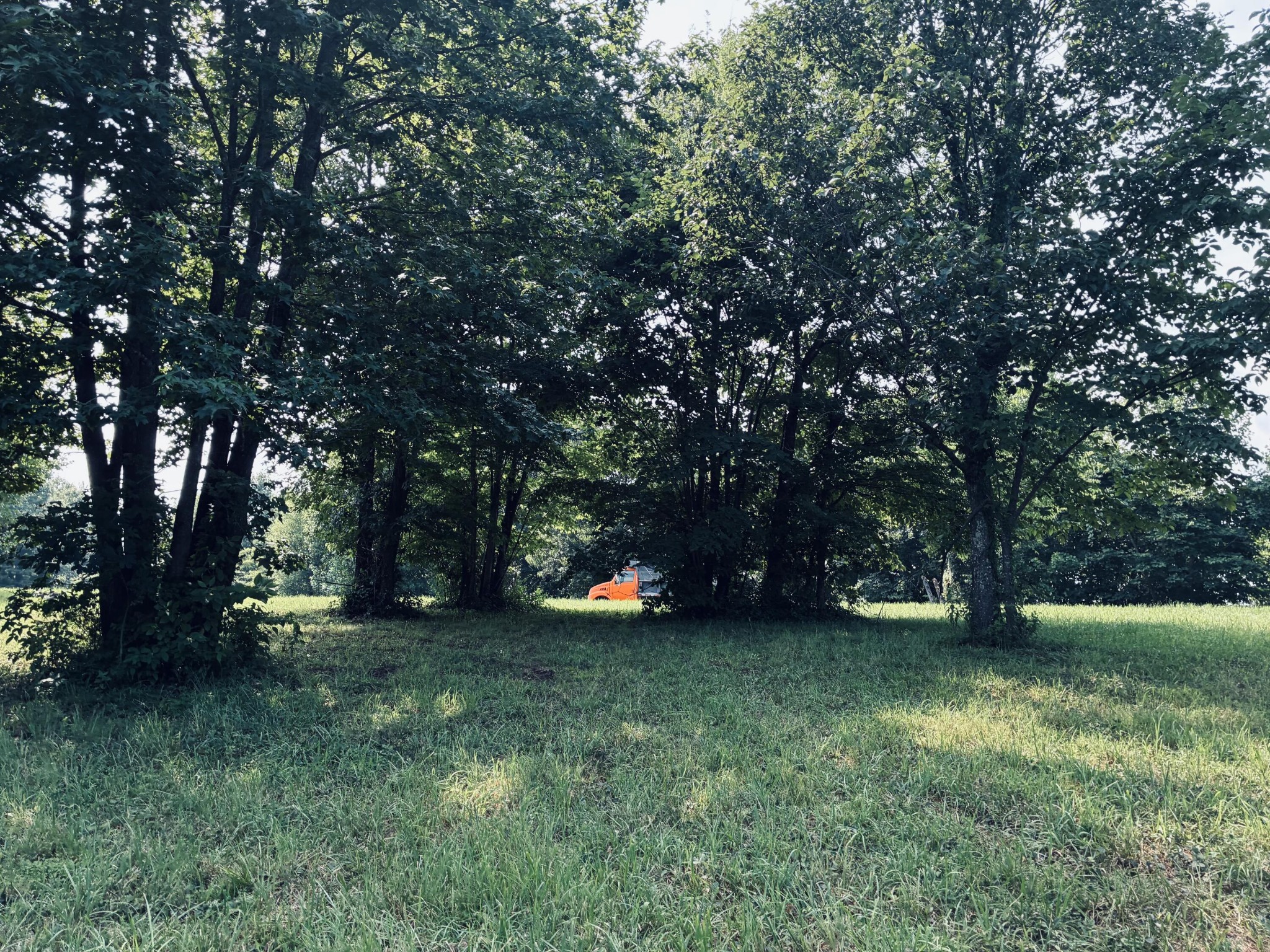 Grassy wooded lot with mature shade trees and an orange truck partly visible in the background.
