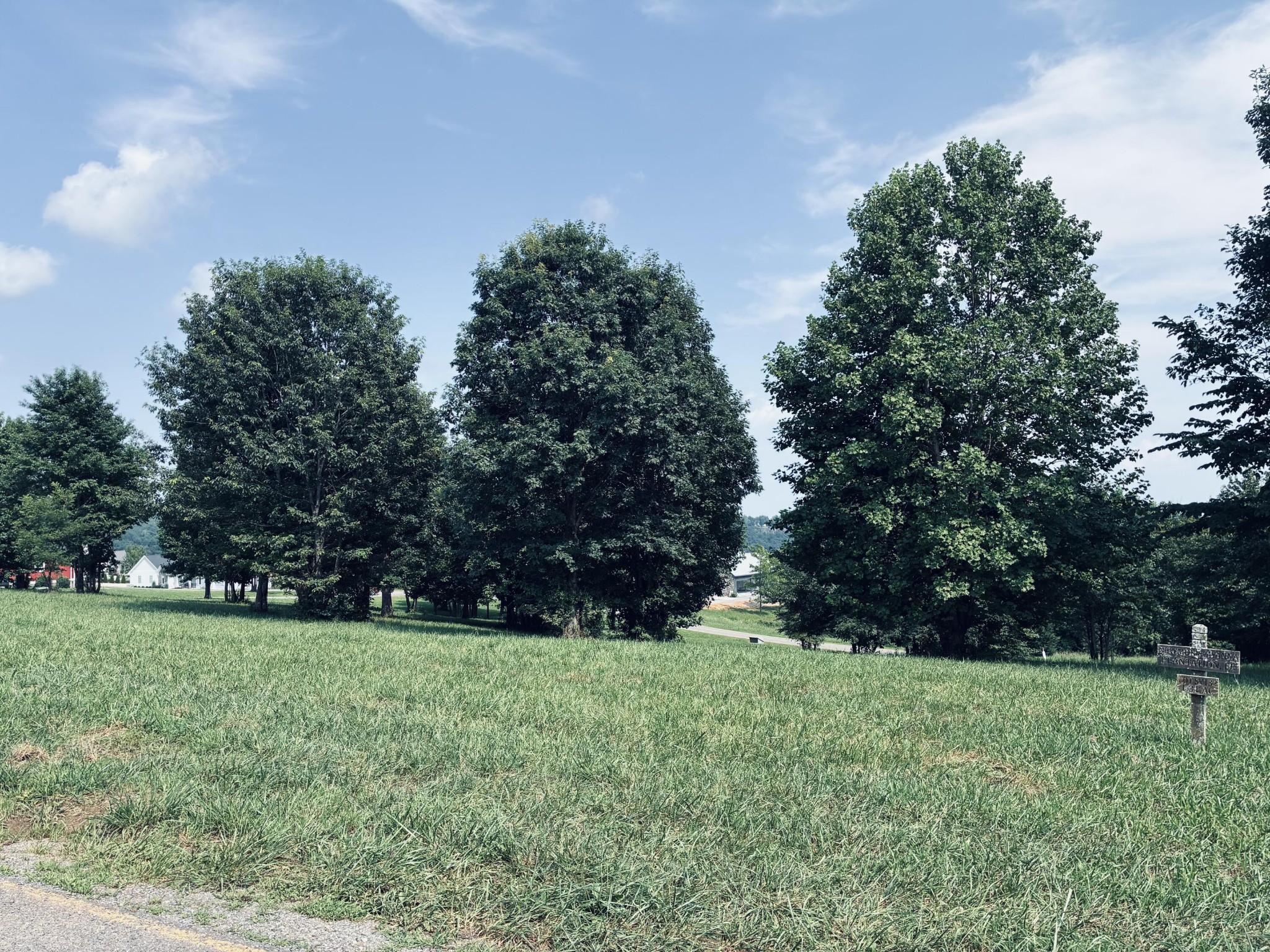 Grassy vacant lot sloping toward mature trees, with neighboring homes in the distance.