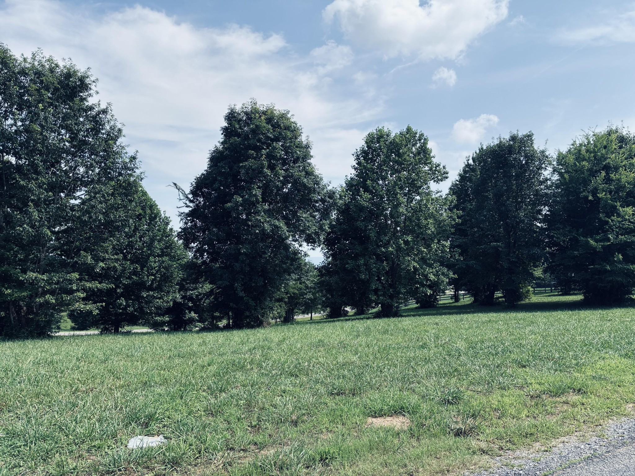 Grassy lot with mature trees and a gravel roadside.