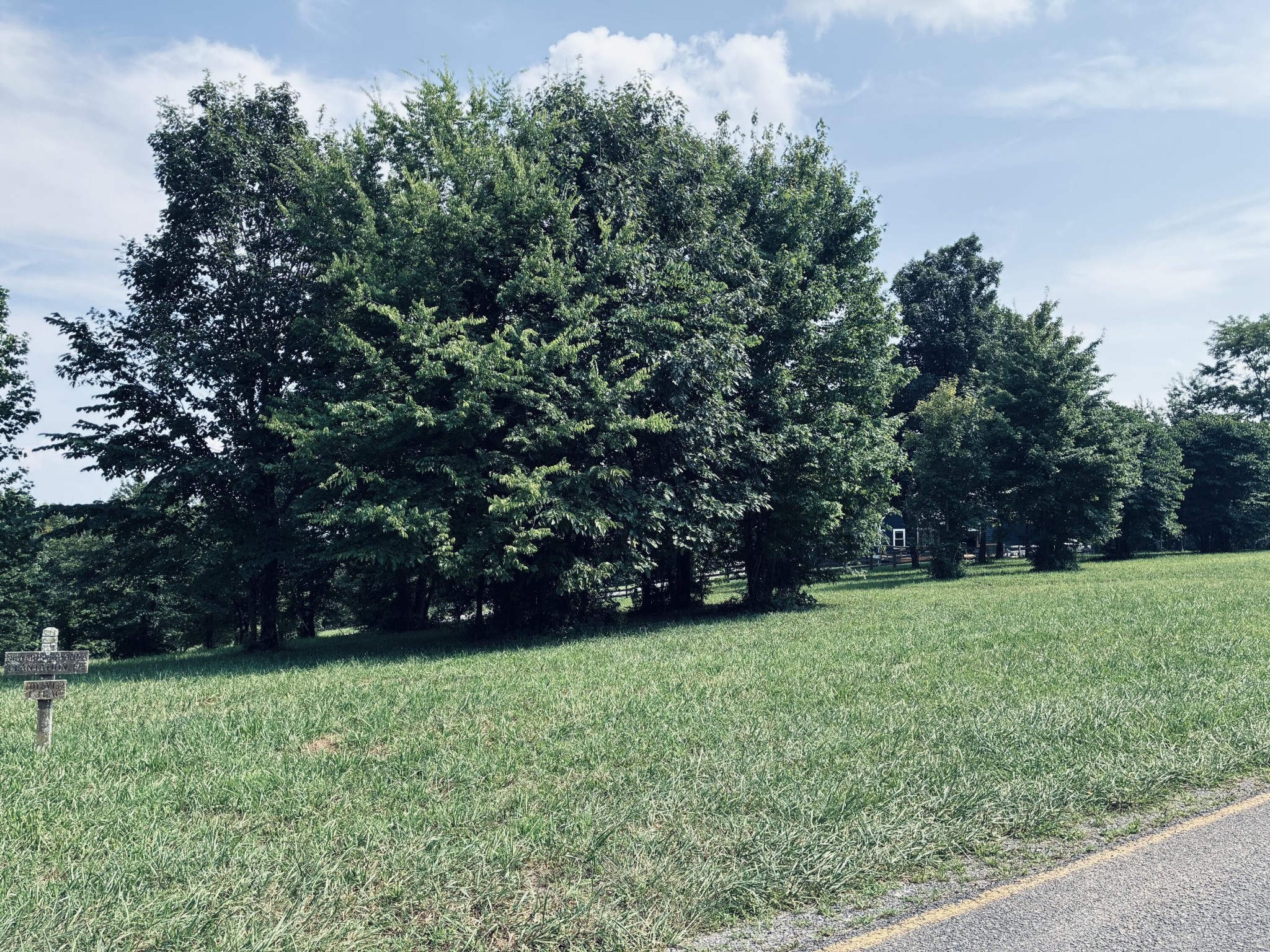 Grassy vacant lot with mature trees along the back, viewed from the roadside.