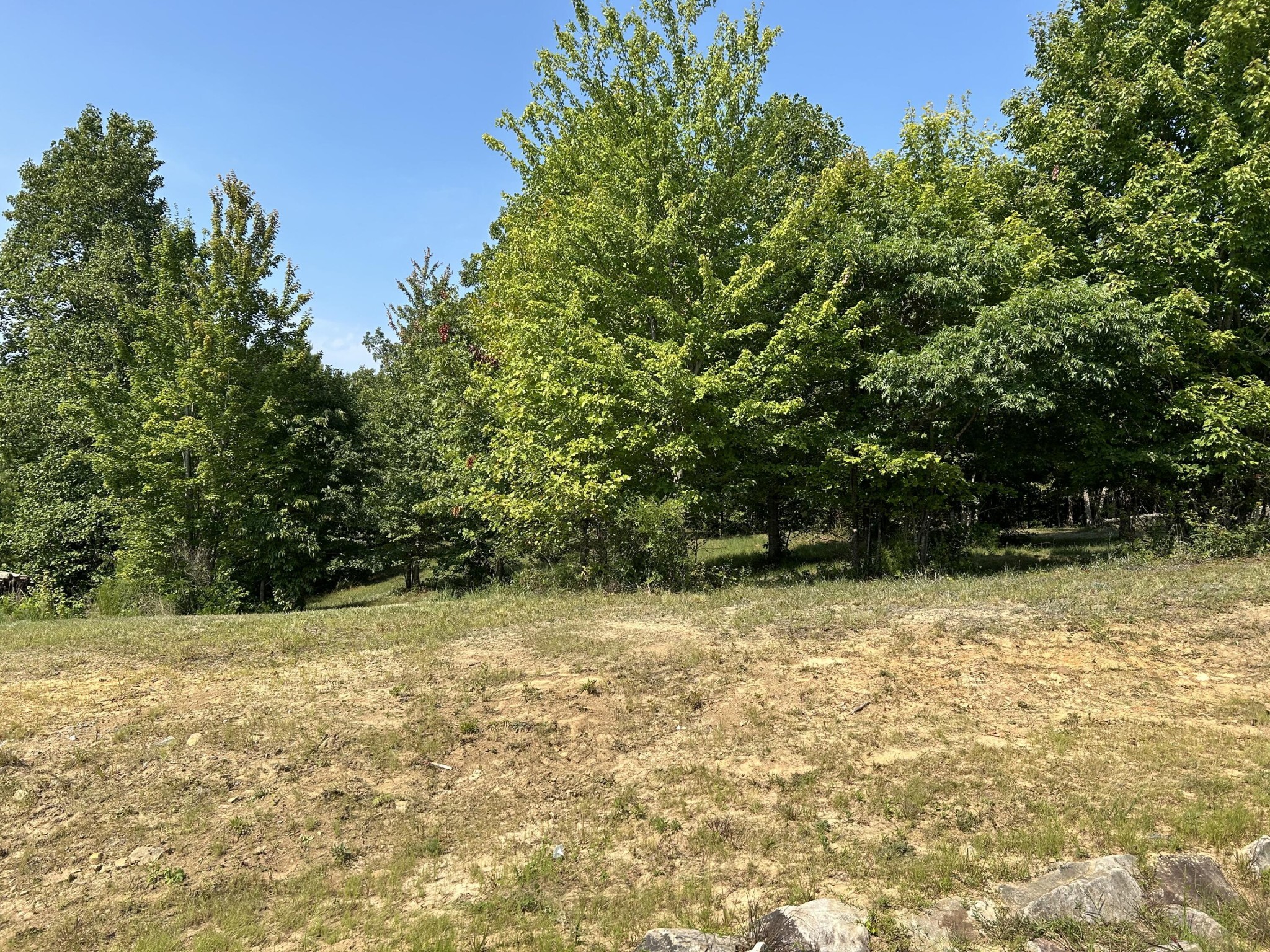 Cleared, sloping lot bordered by dense trees, with dry rocky soil in the foreground.