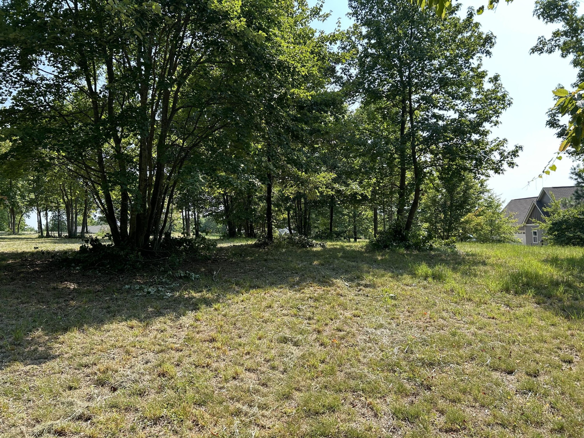 Grassy lot with mature trees and a shaded clearing beside a neighboring house.