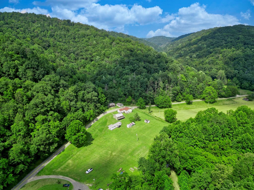 11733 Willey Fork Road