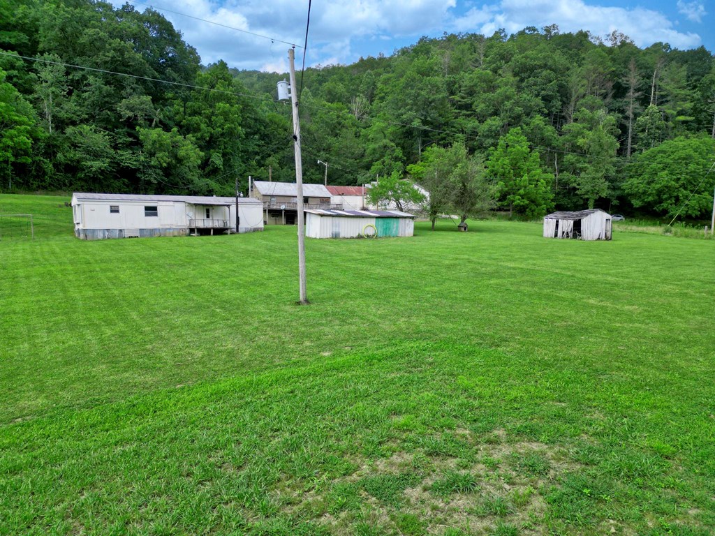 11733 Willey Fork Road
