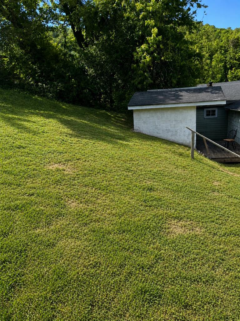 56 Cemetery Hill Road