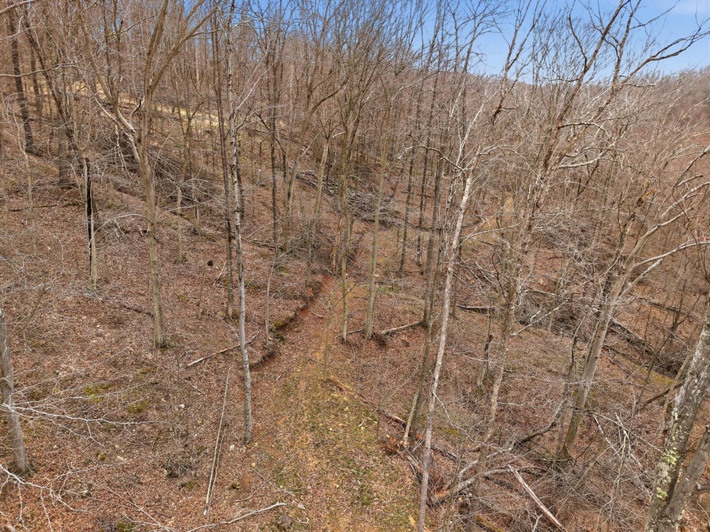 58 Nurses Hollow Road, Center Point ()