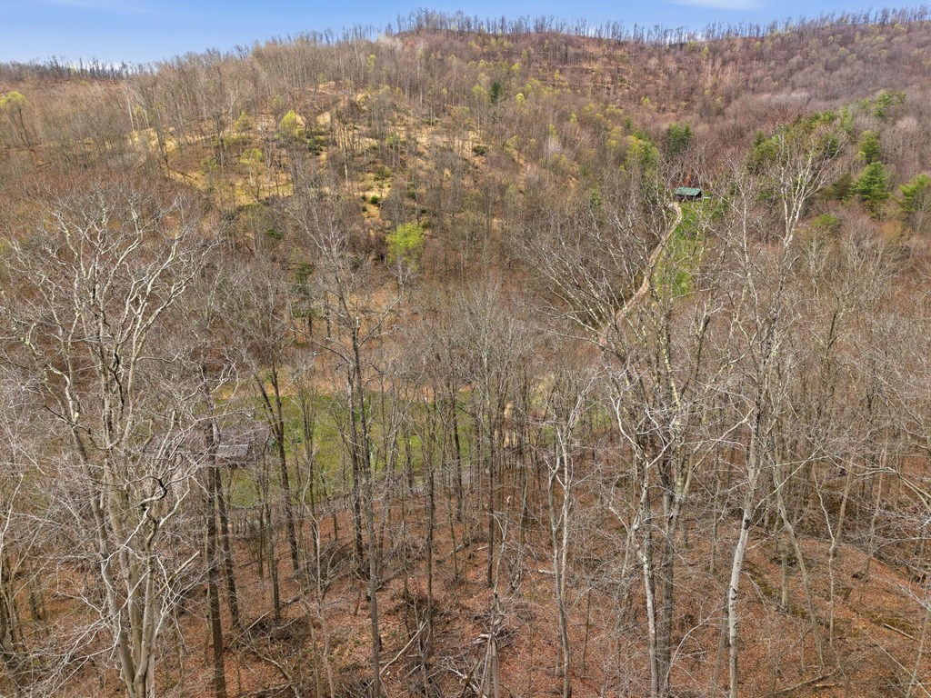 58 Nurses Hollow Road, Center Point ()