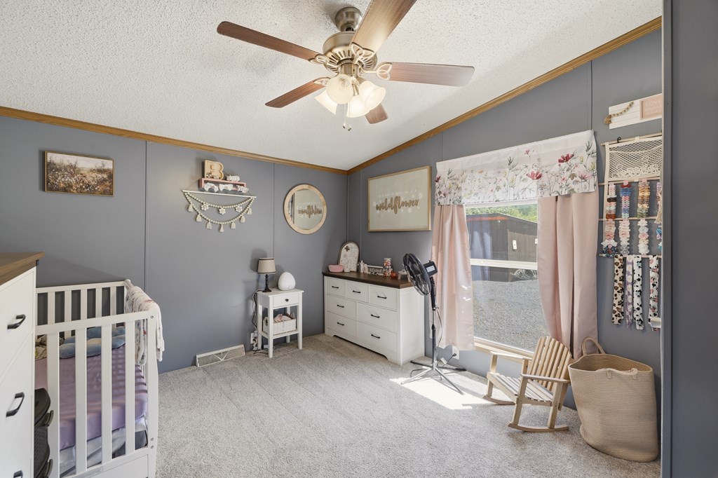 1055 Hog Run Road