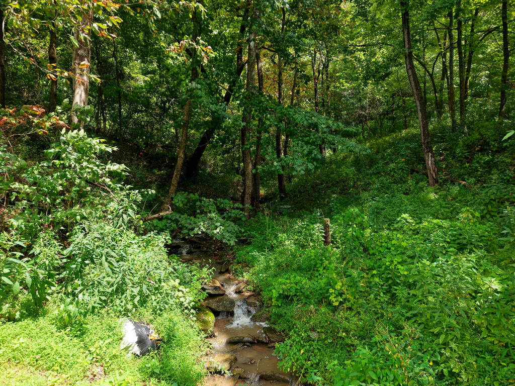 1747 Proctor Creek Road
