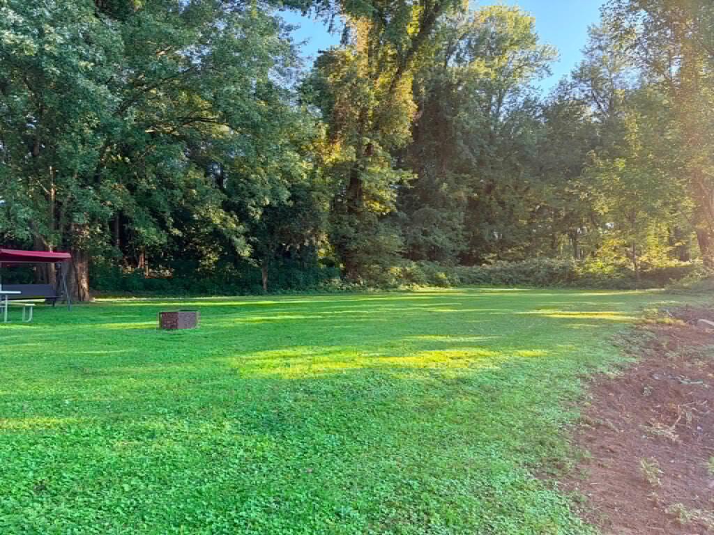 Grassy lot bordered by trees, with a small picnic shelter at the left edge.