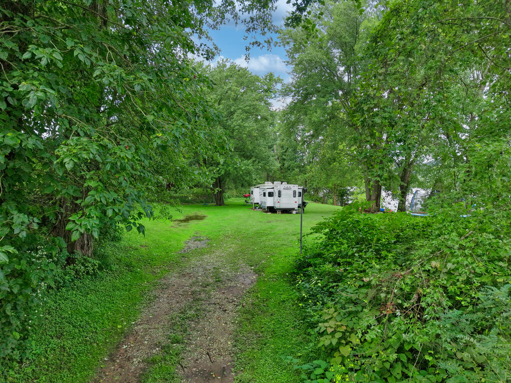 Wooded lot with a grassy clearing, gravel track, and travel trailer.