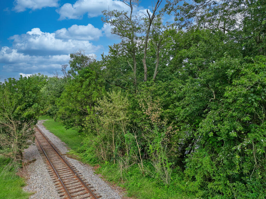 Wooded lot with a gravel railway track running alongside dense trees and brush.