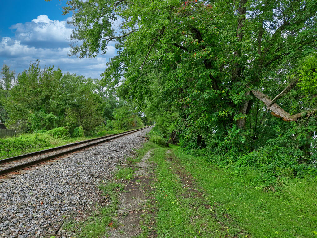Wooded lot beside railroad tracks, with a grassy dirt path beneath leafy trees.