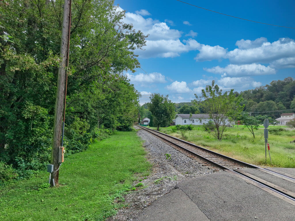 Grassy vacant lot beside railroad tracks, bordered by dense trees with distant buildings.