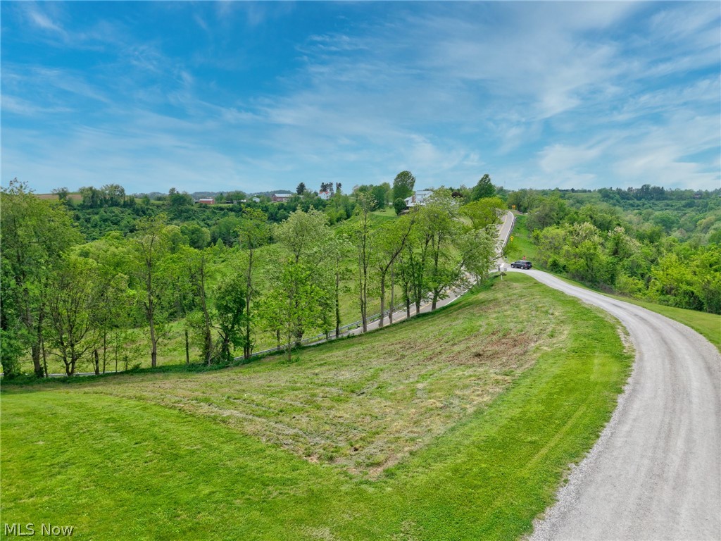 Country Boulevard