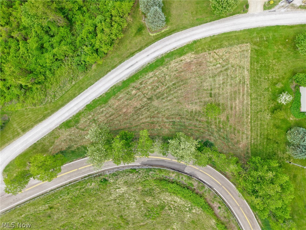 Country Boulevard