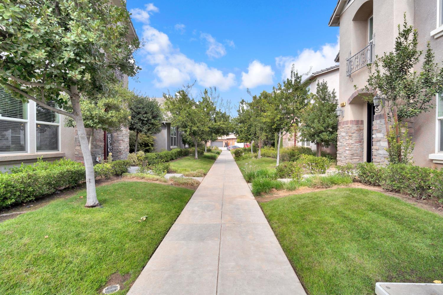 11335 N Sageberry Way
