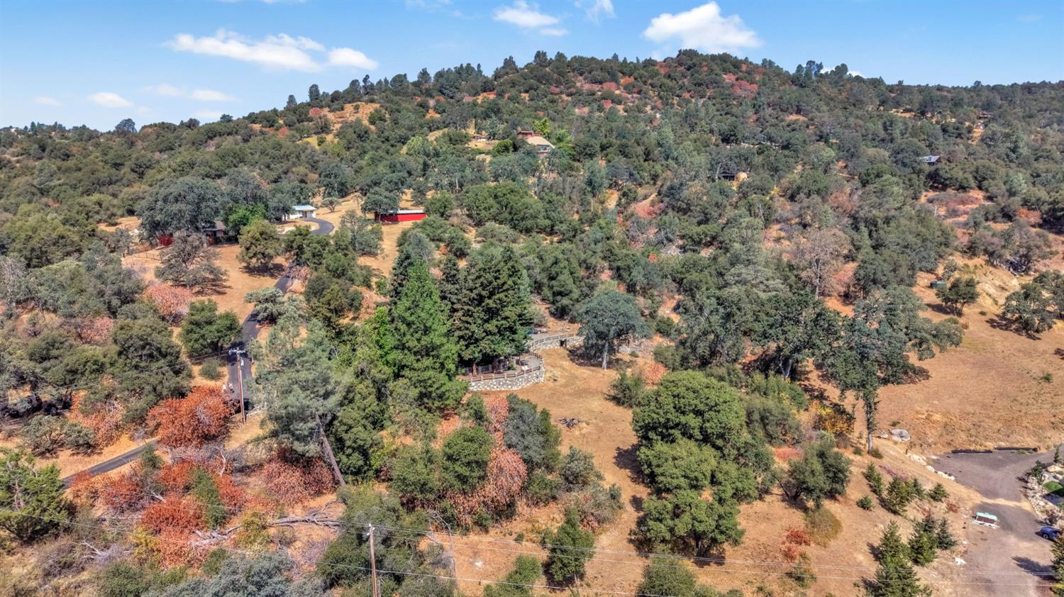 42699 Whittenburg Road