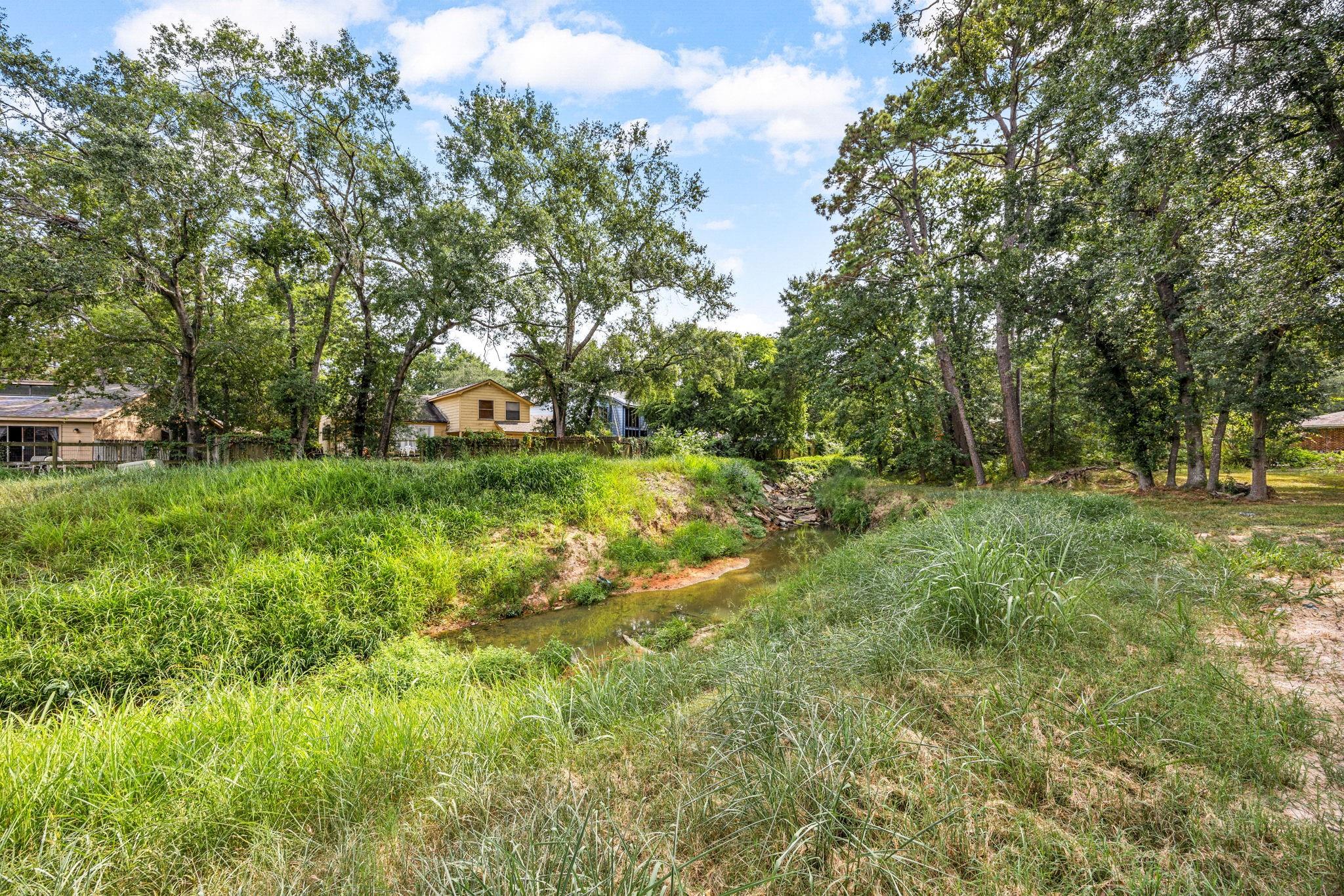 19811 Sagging Oaks Drive