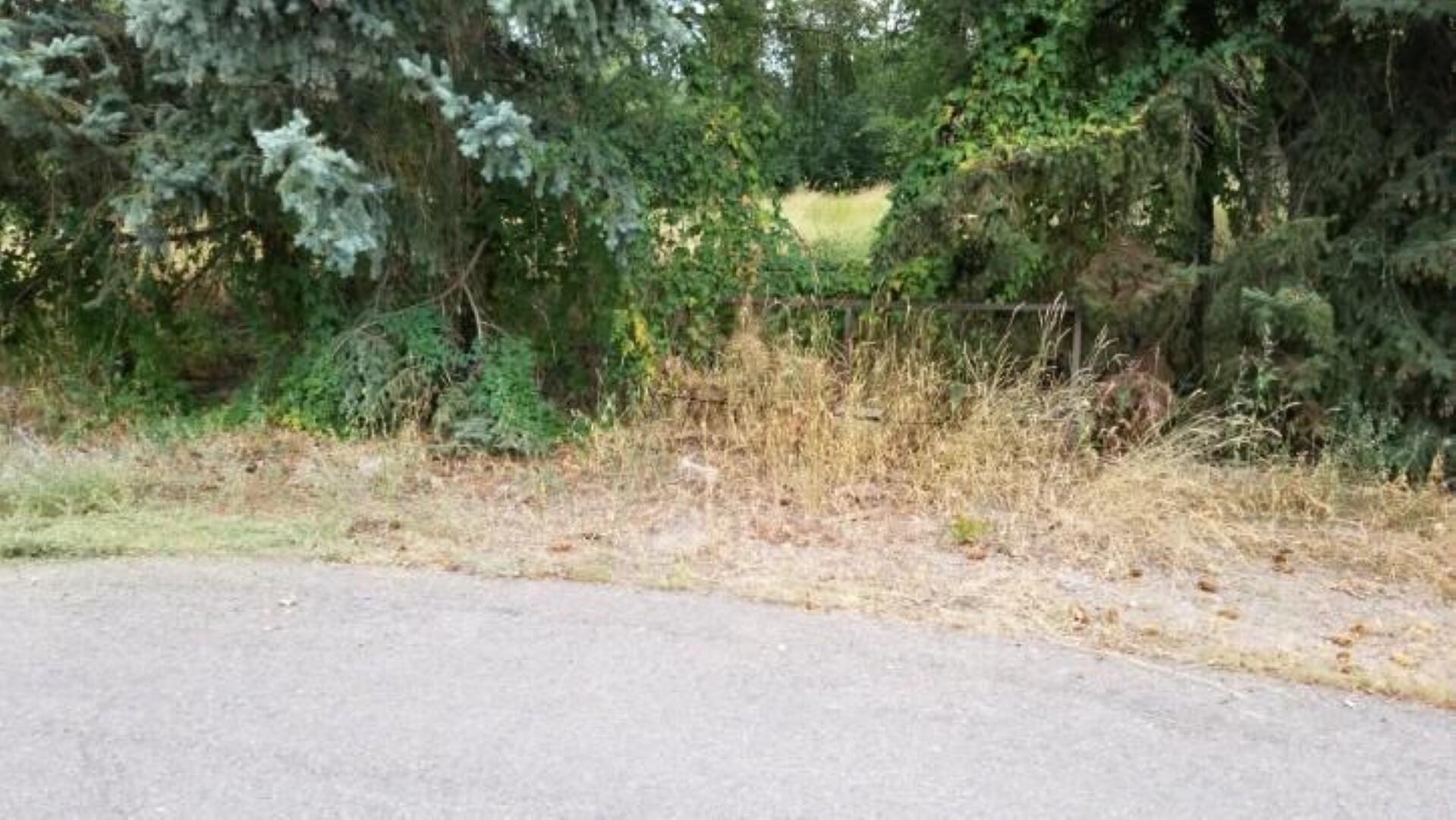 2640 Laurie Drive