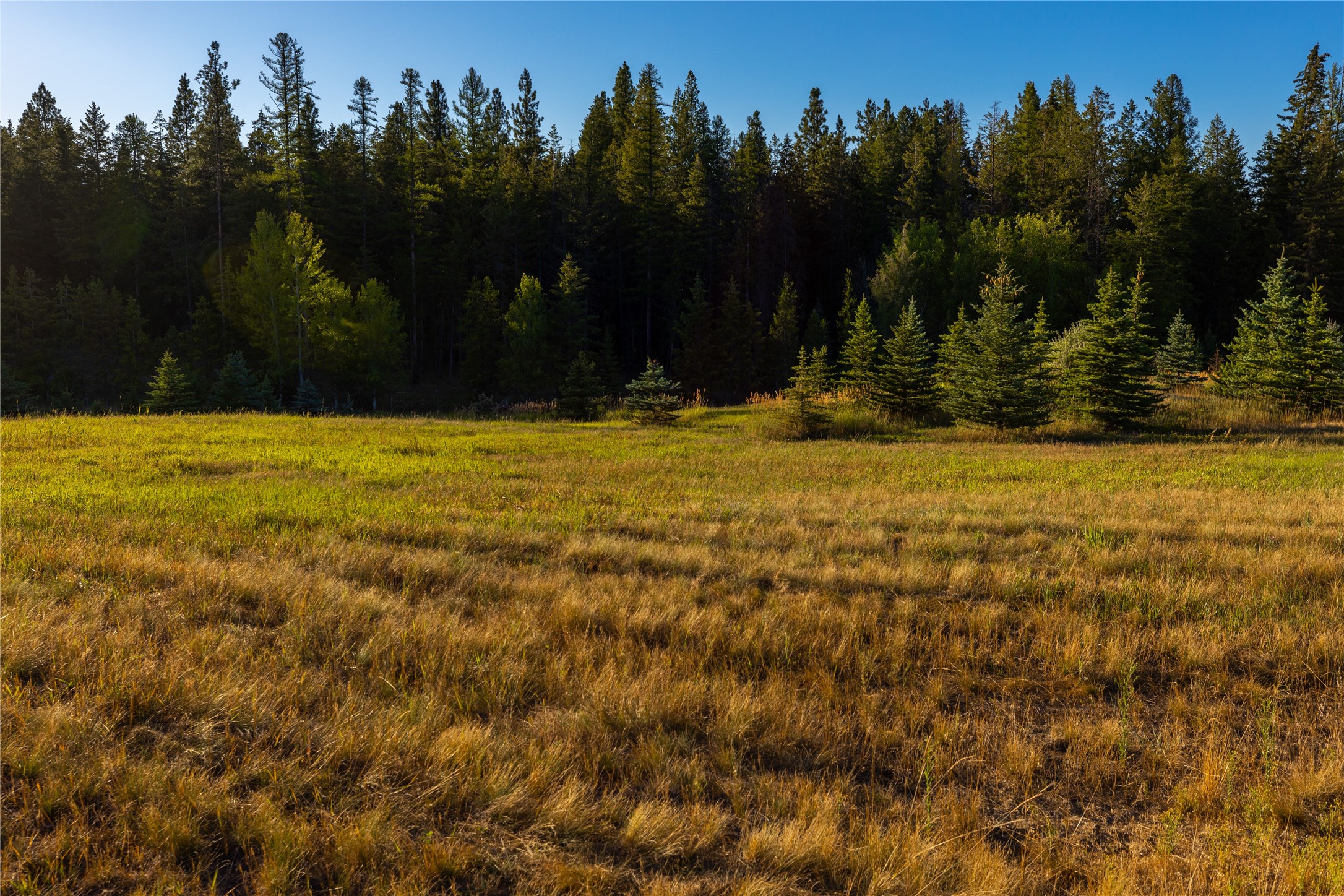 82 Old Truman Flats Road