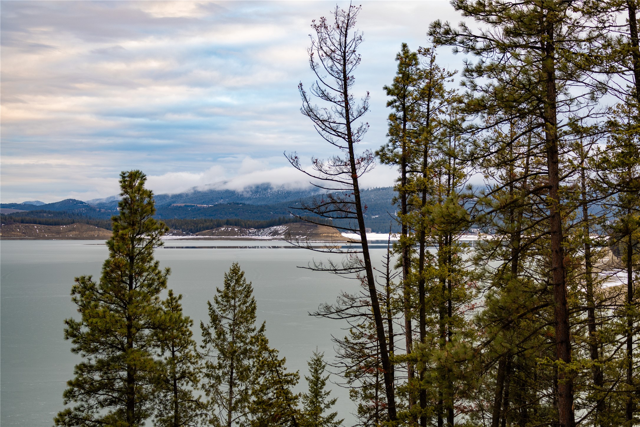 82 Old Truman Flats Road