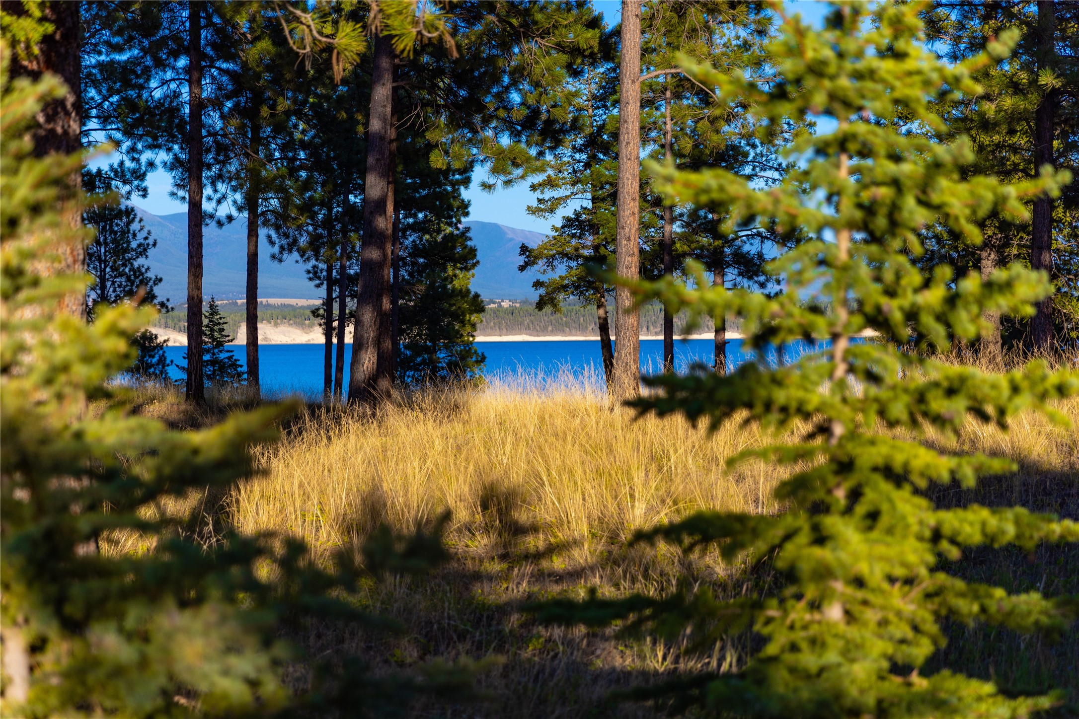 82 Old Truman Flats Road