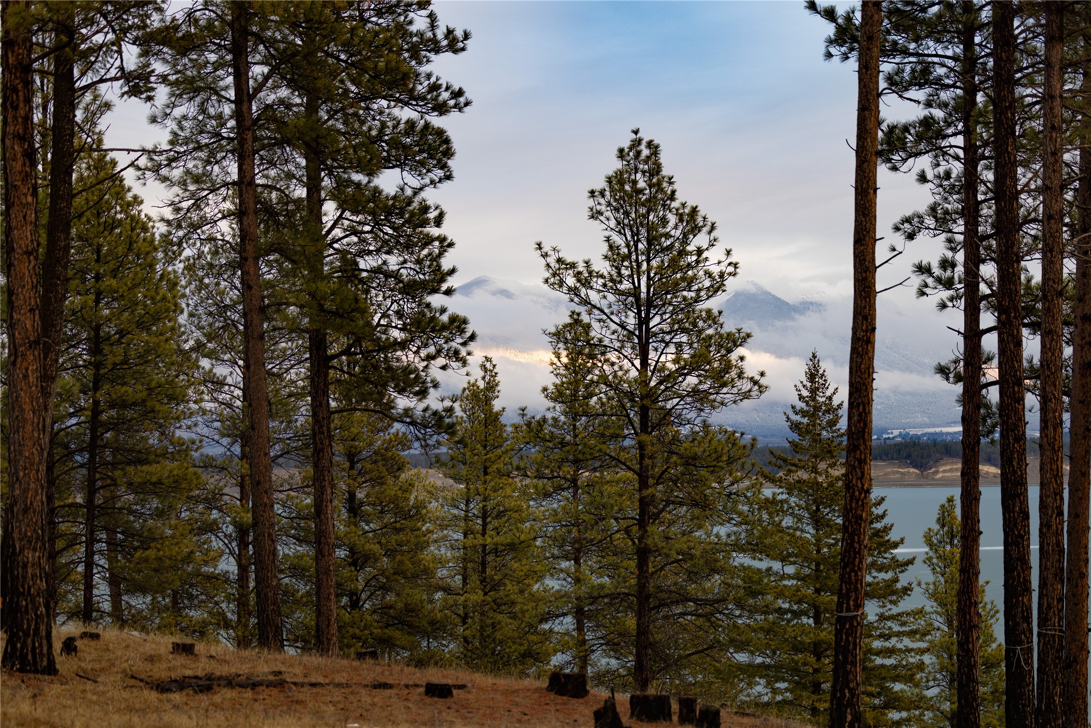 82 Old Truman Flats Road