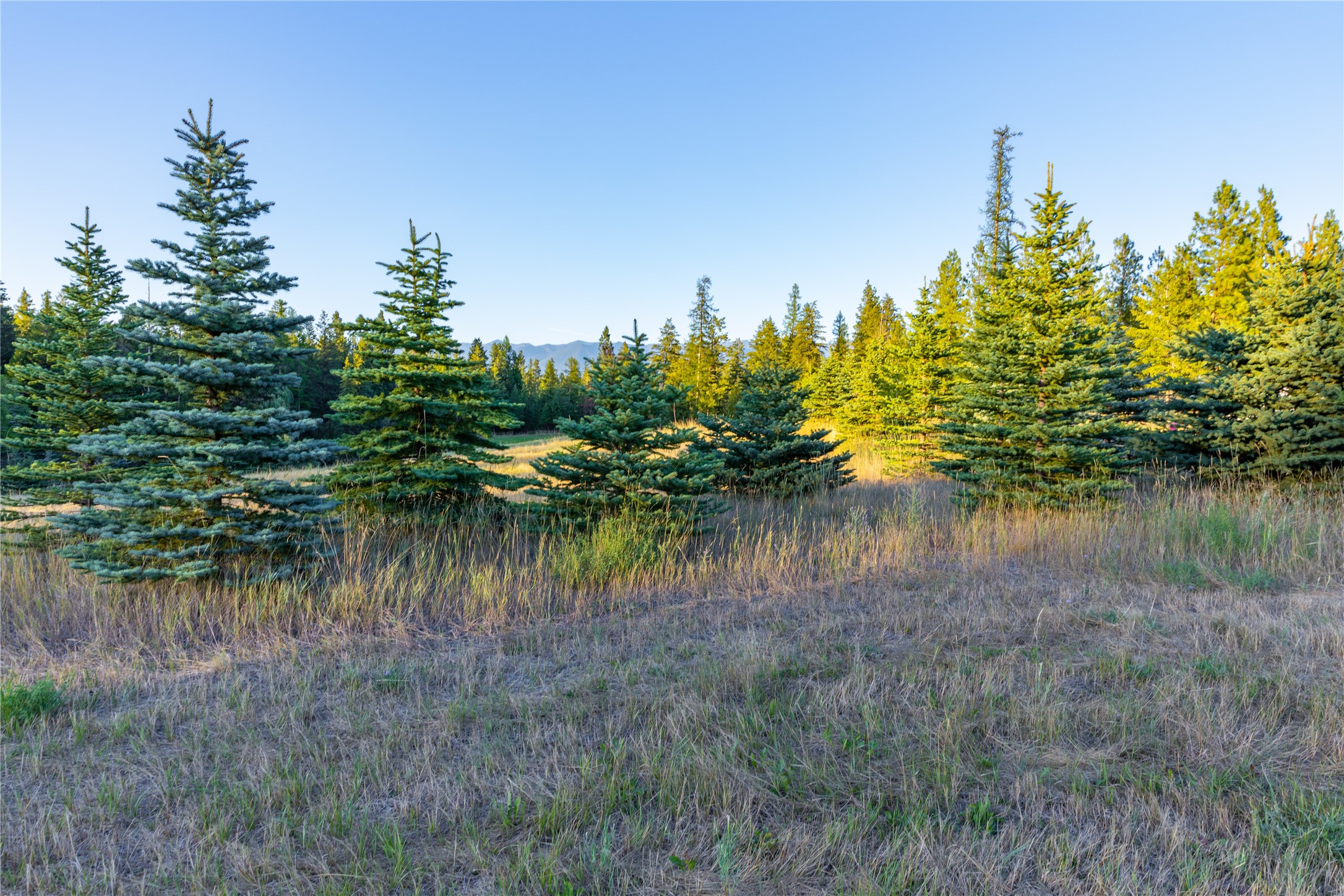 82 Old Truman Flats Road