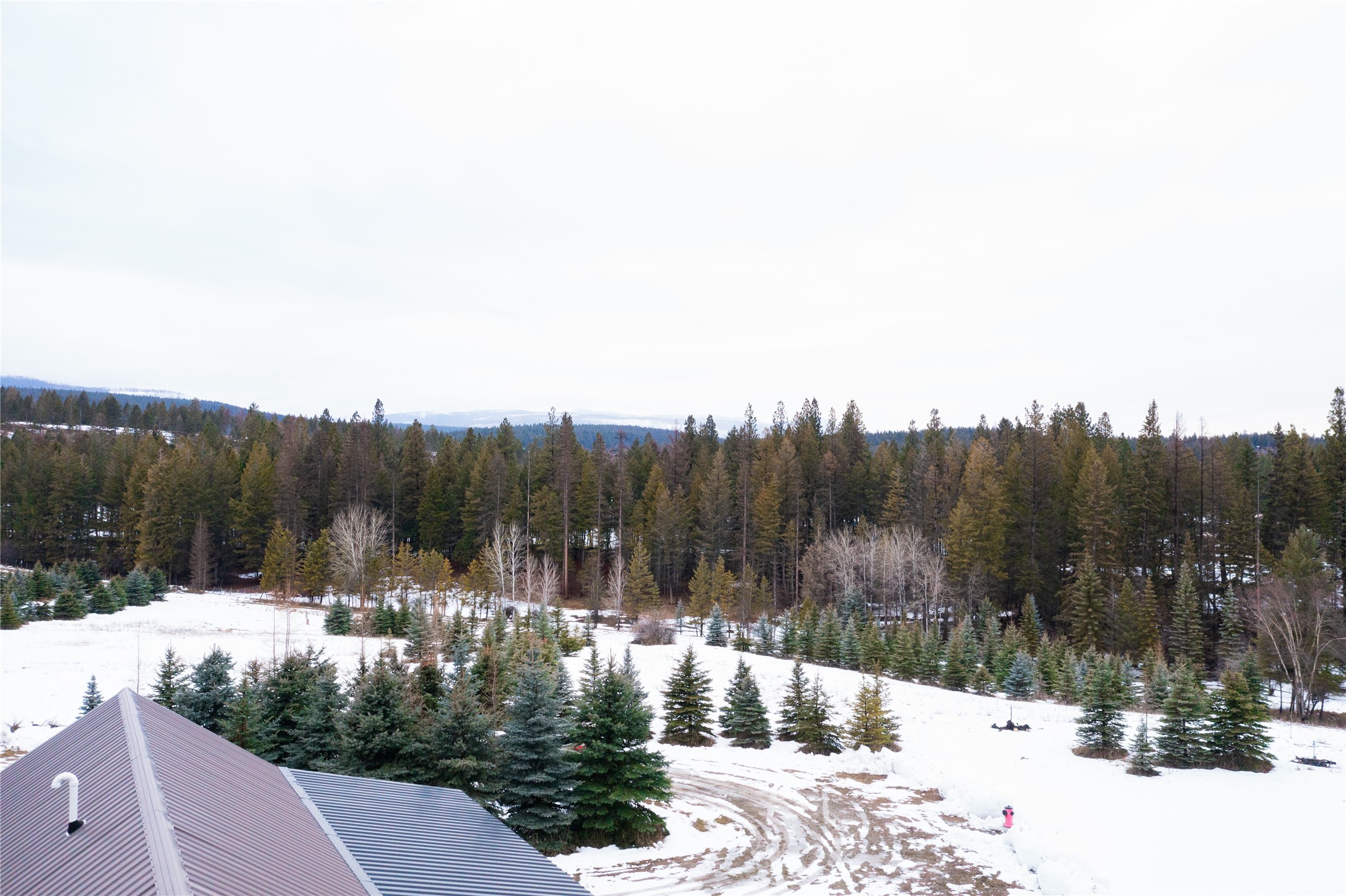 82 Old Truman Flats Road