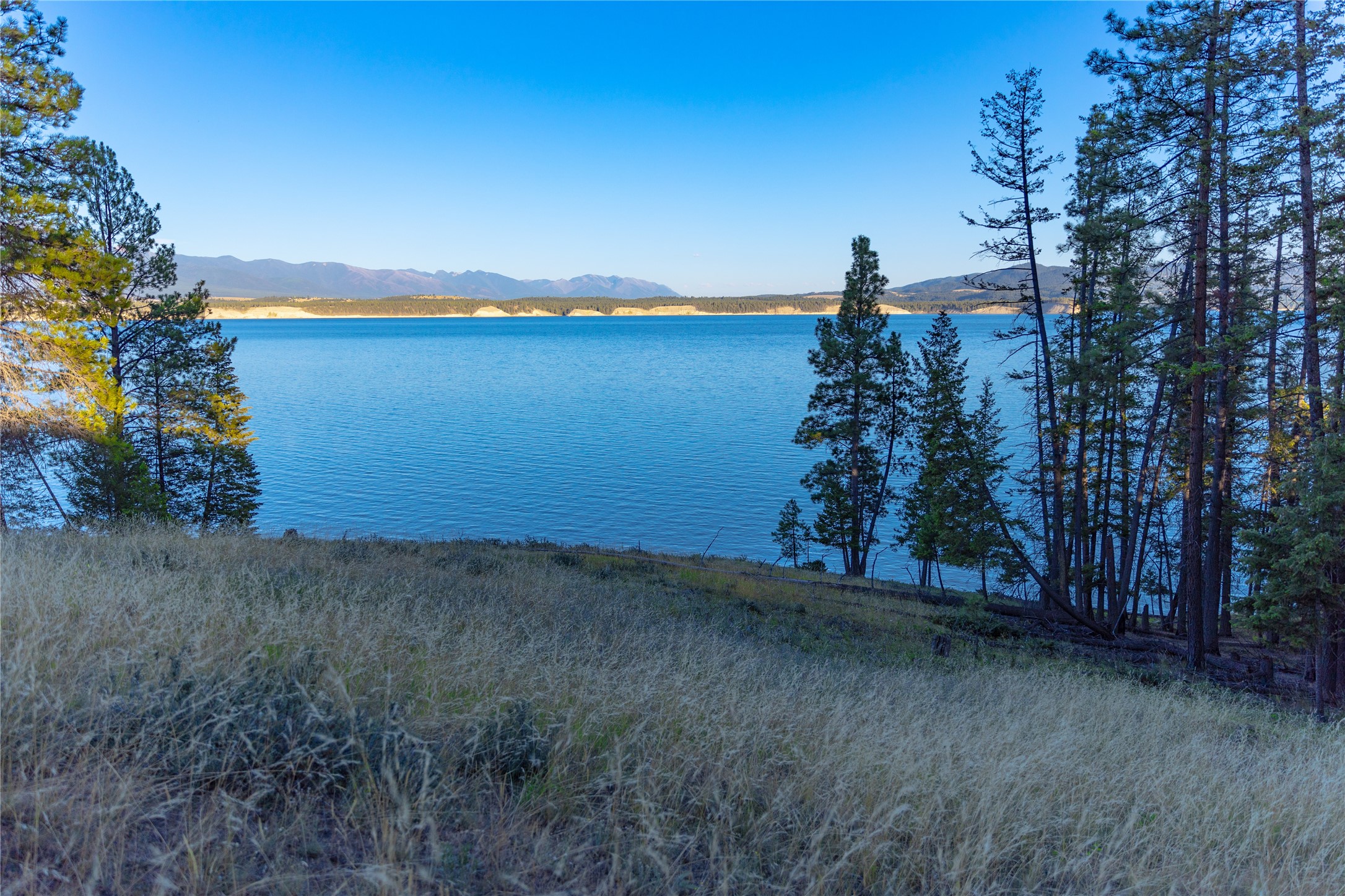 82 Old Truman Flats Road