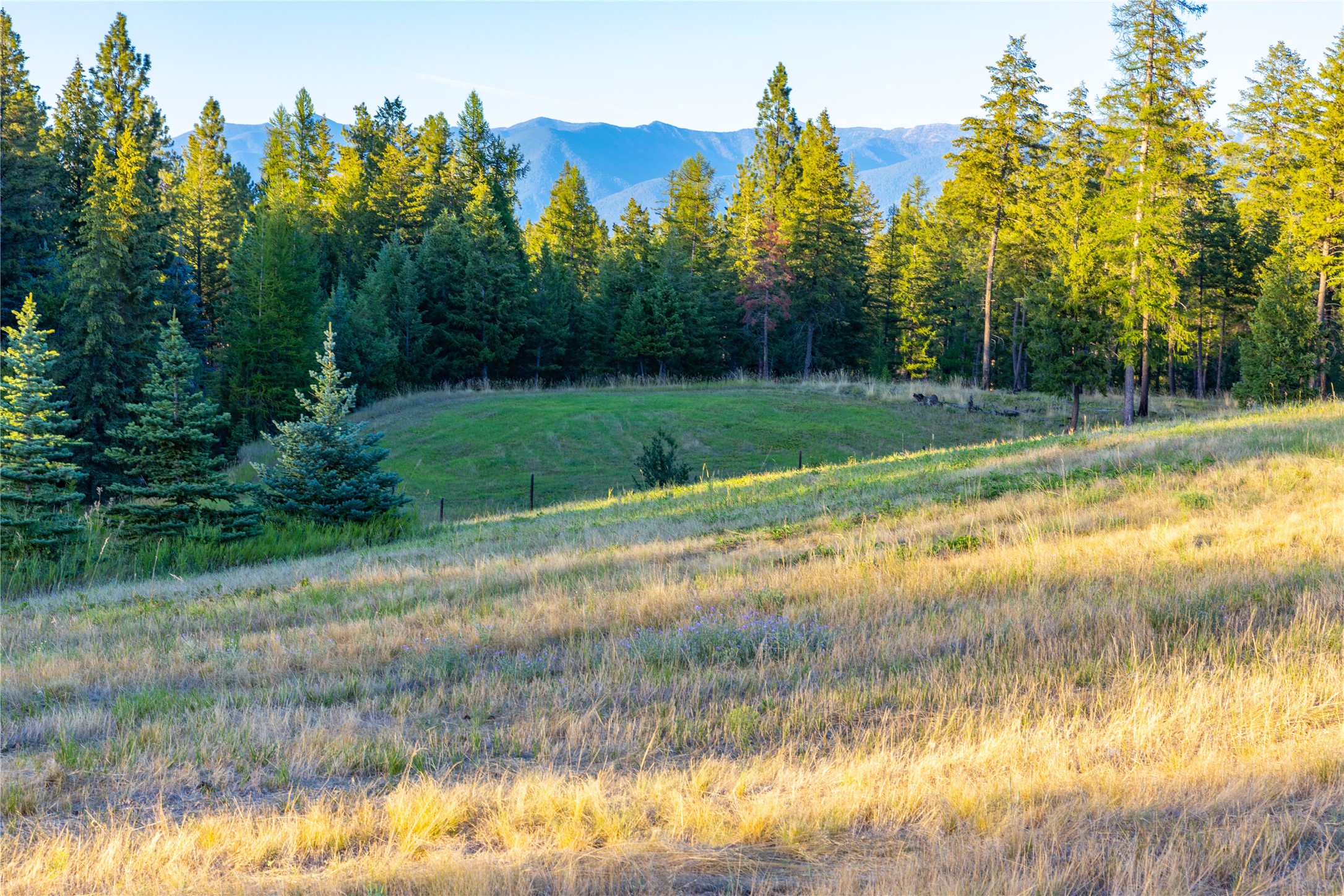 82 Old Truman Flats Road