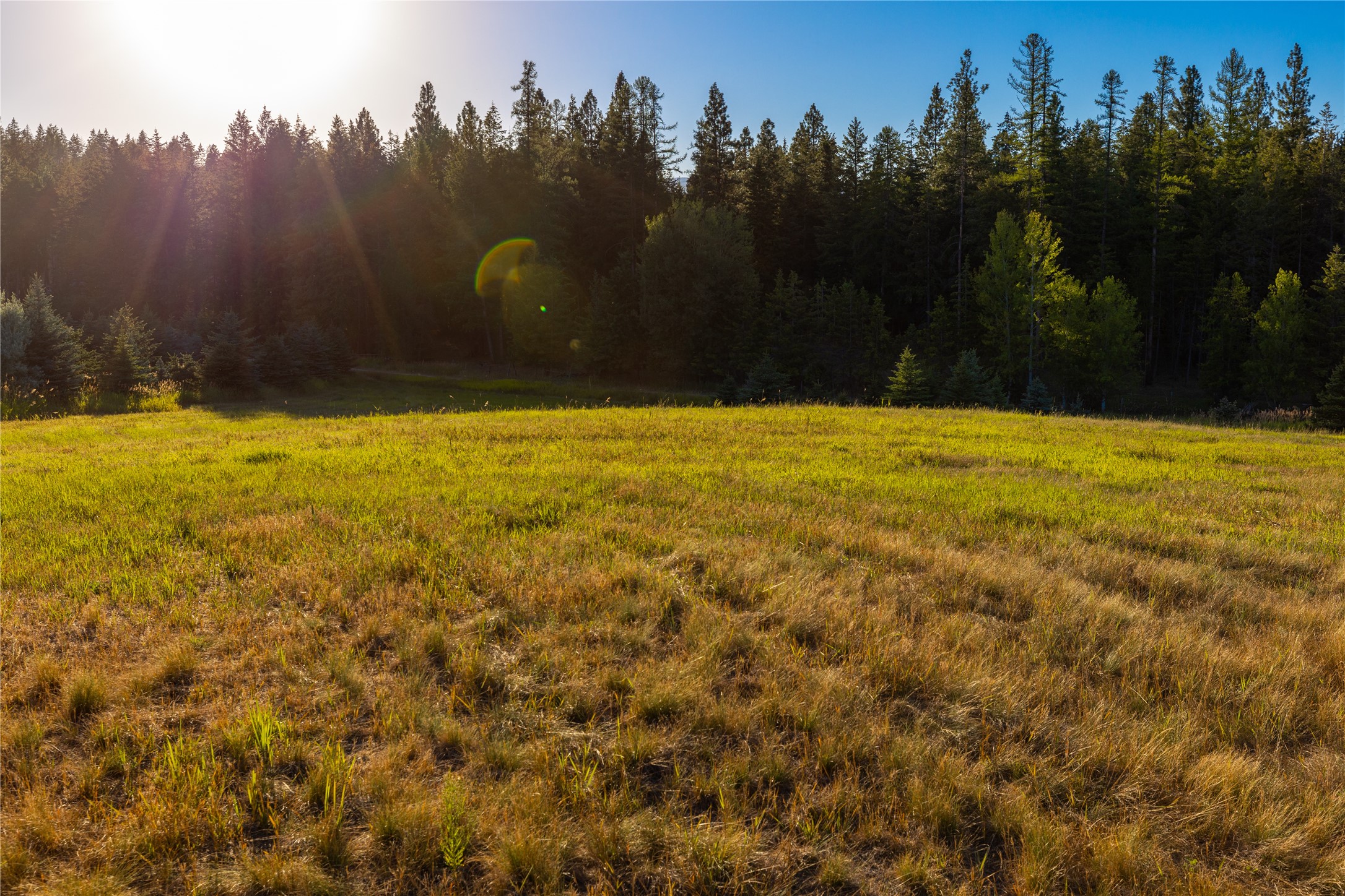 82 Old Truman Flats Road