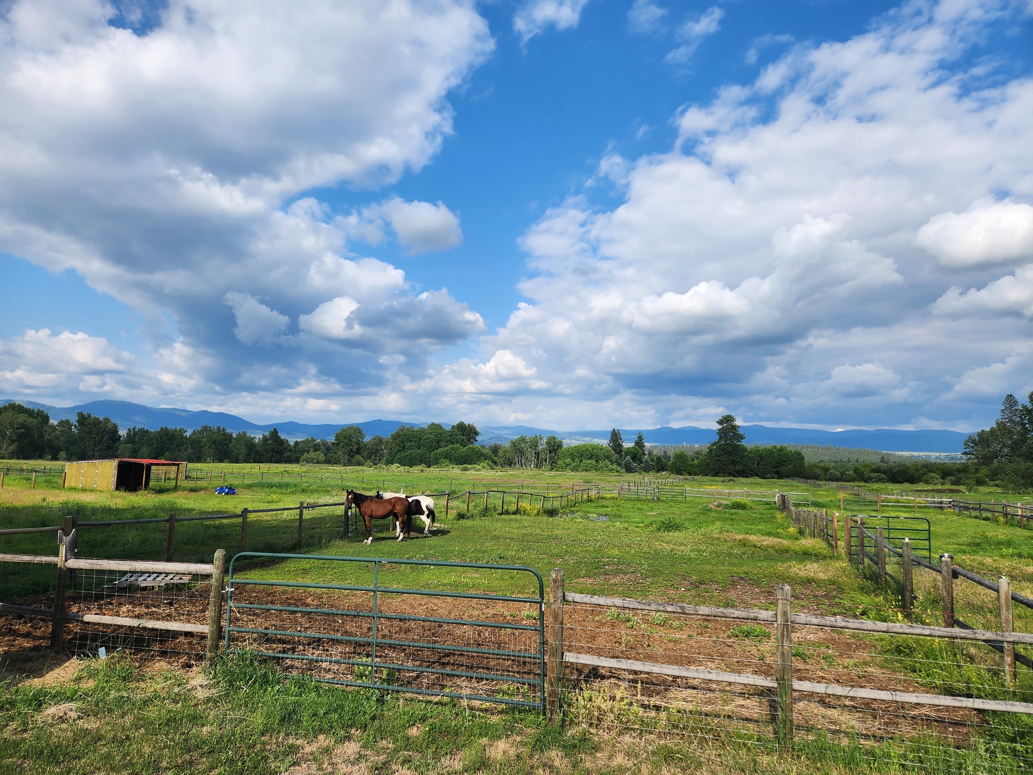 5230 Lower Martin Lane