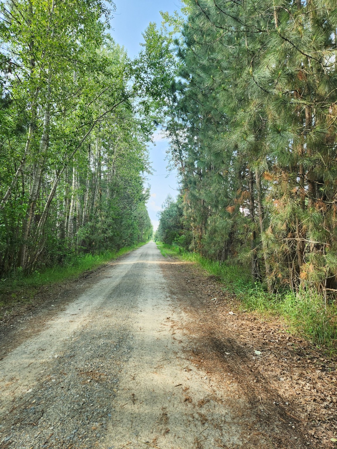 5230 Lower Martin Lane